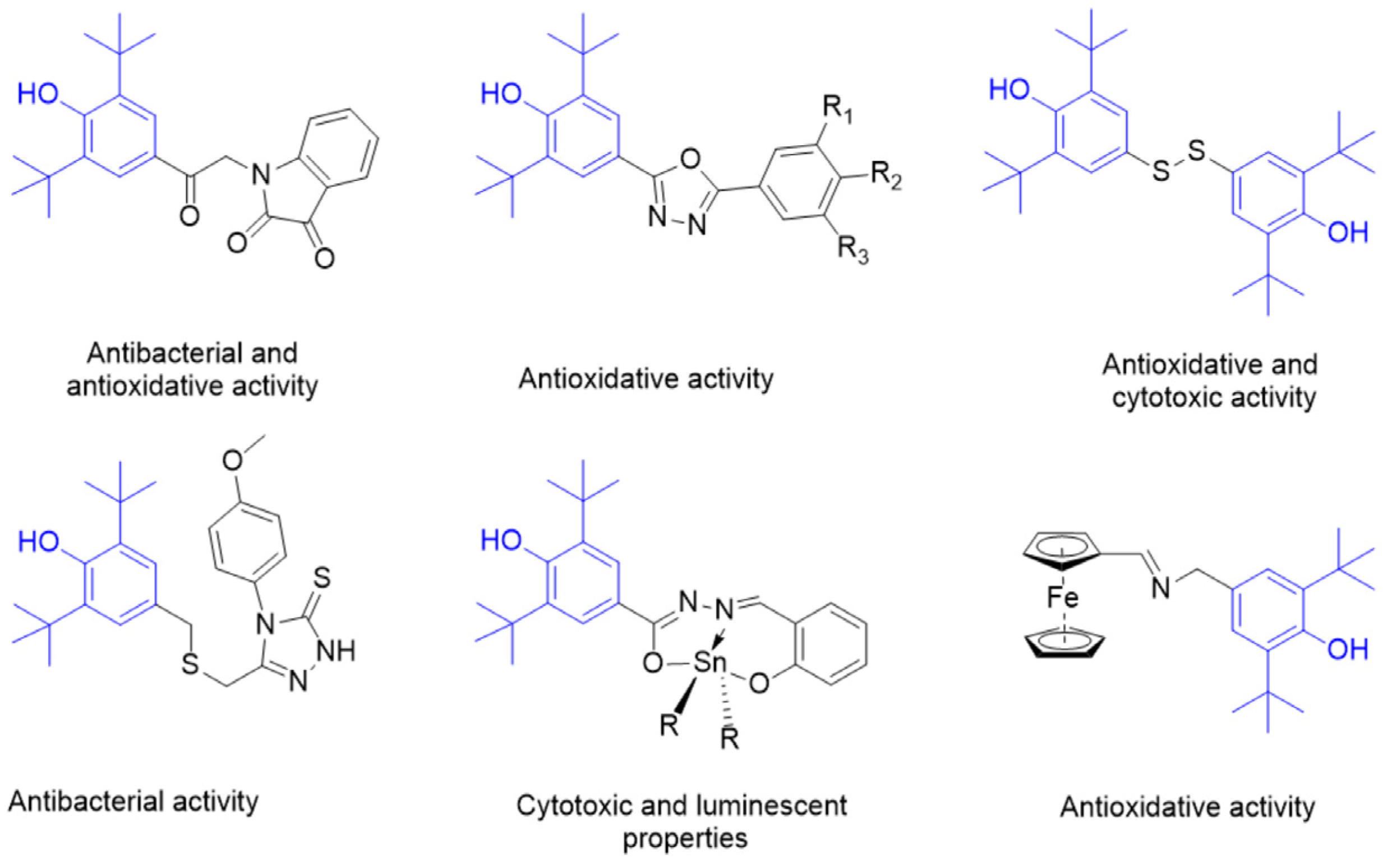 Molbank 2024 m1763 g002