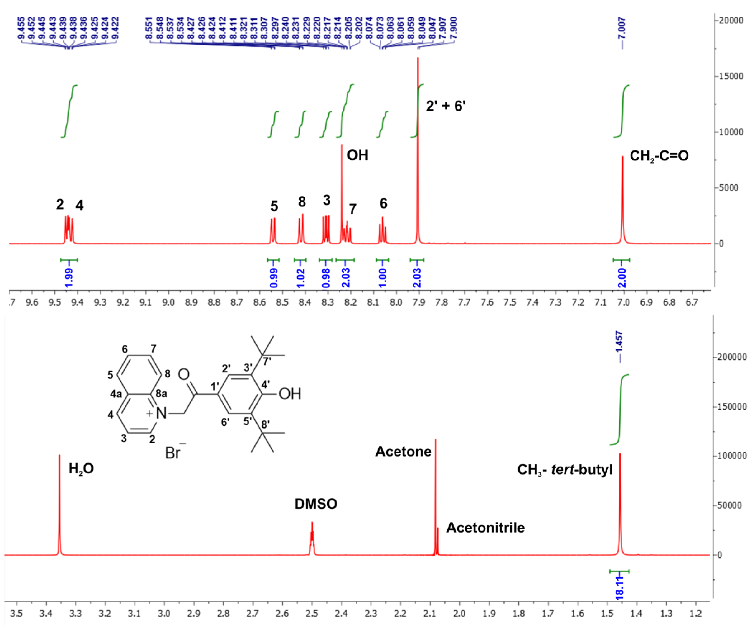 Molbank 2024 m1763 g003