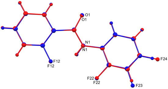 Molbank 2024 m1771 g004