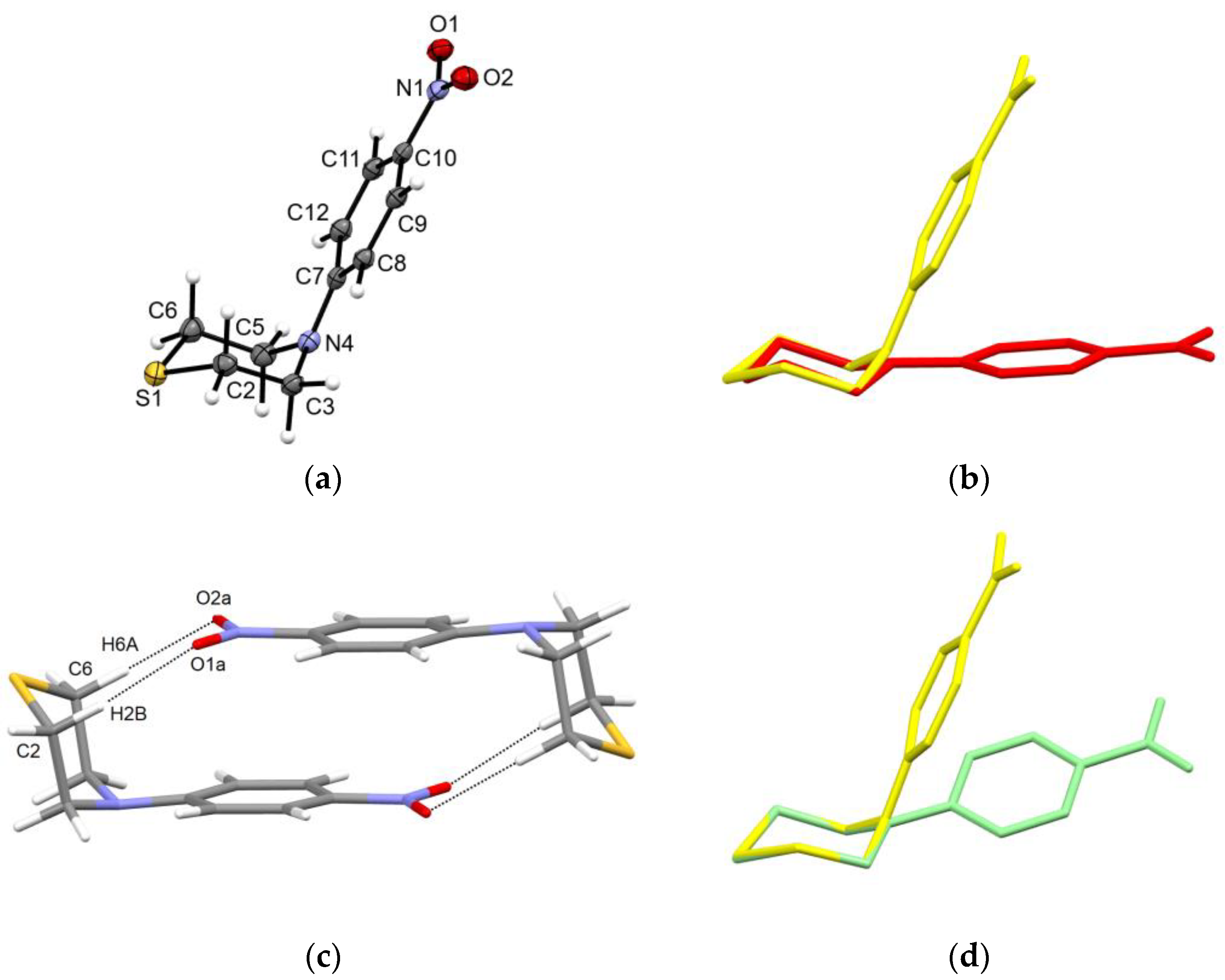 Molbank 2024 m1795 g001