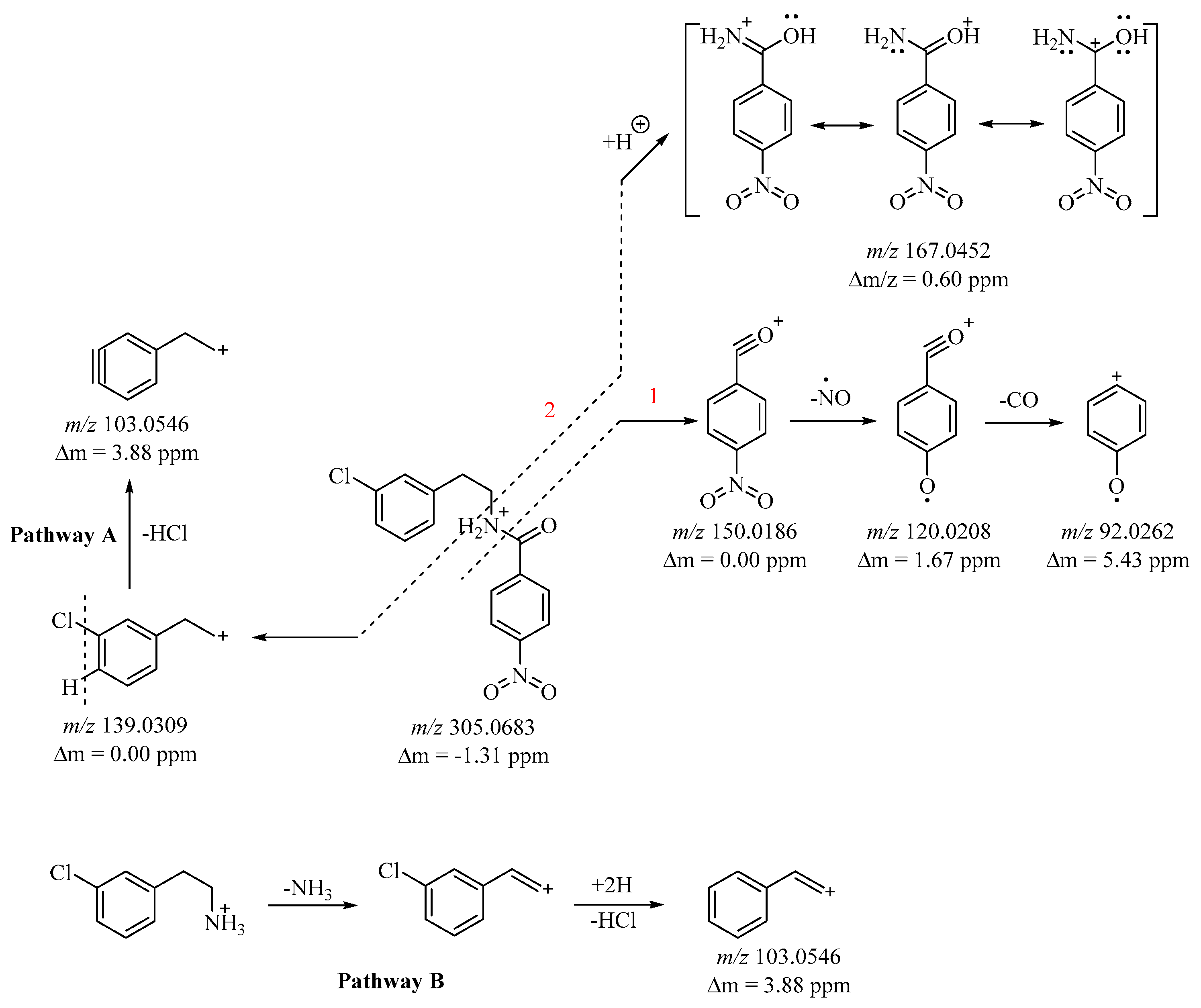 Molbank 2024 m1802 g002