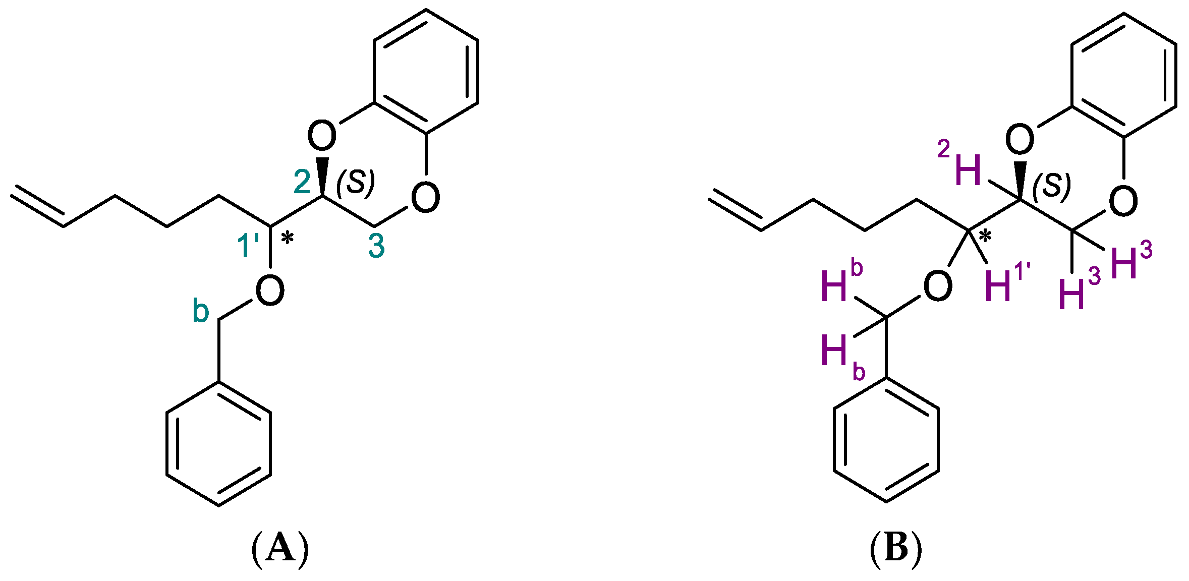 Molbank 2024 m1812 g001