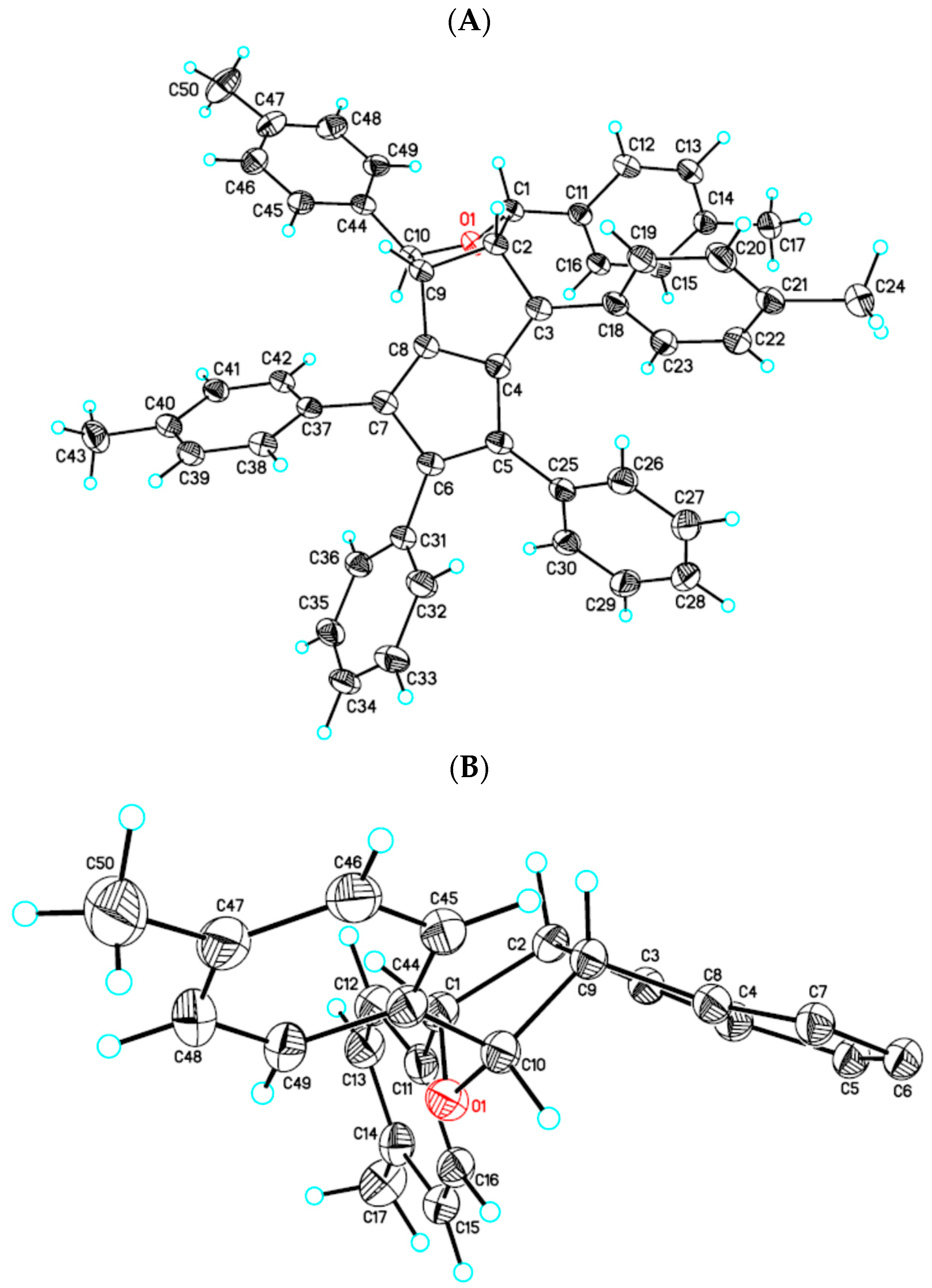 Molbank 2024 m1814 g003