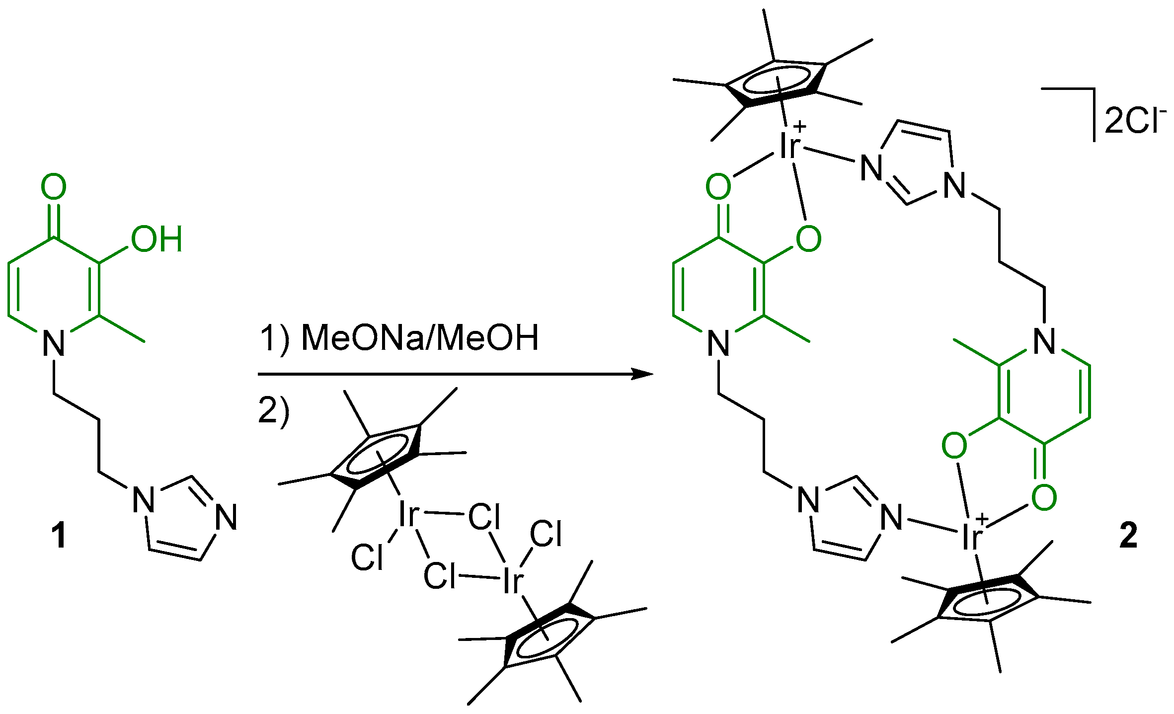 Molbank 2024 m1816 sch001