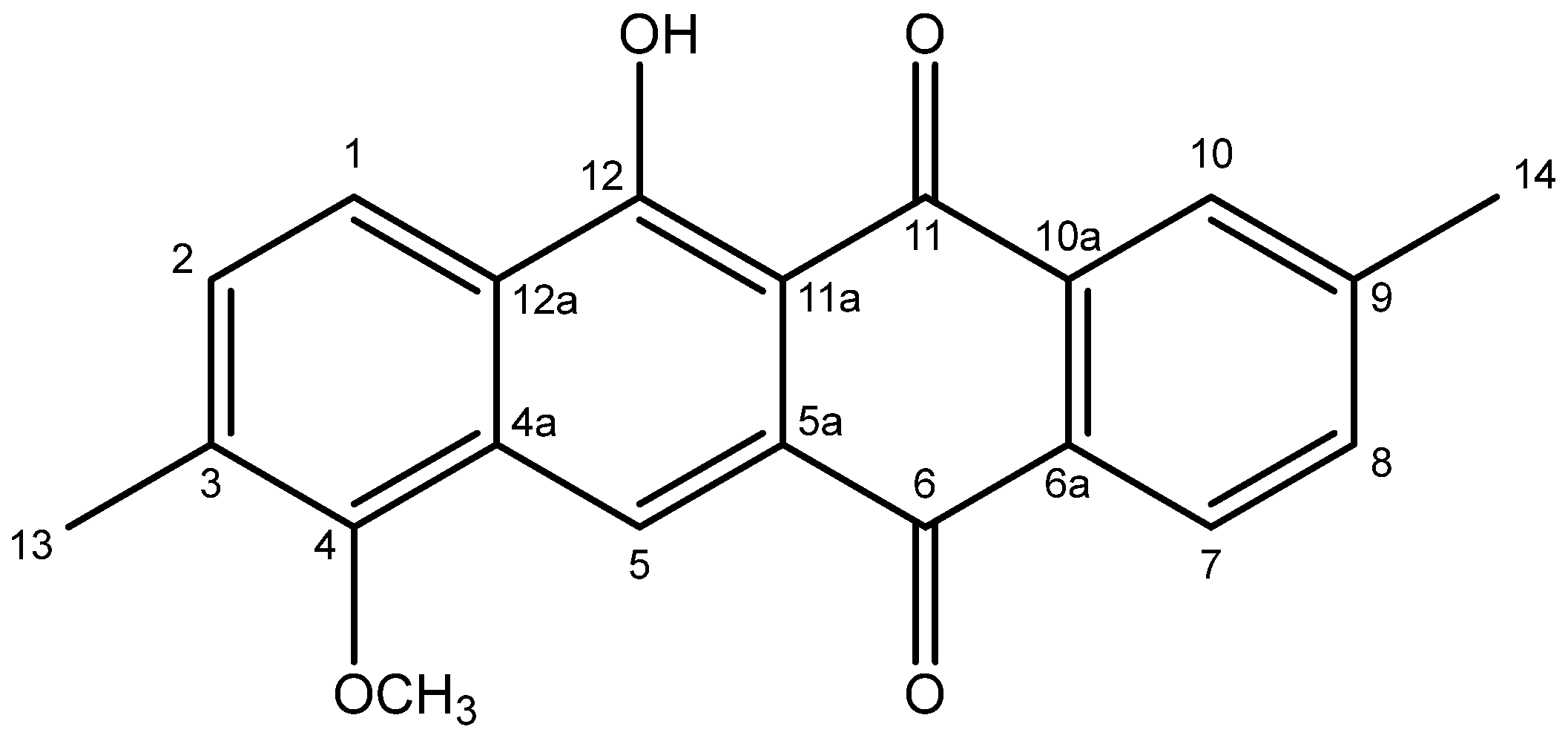 Molbank 2024 m1822 g002