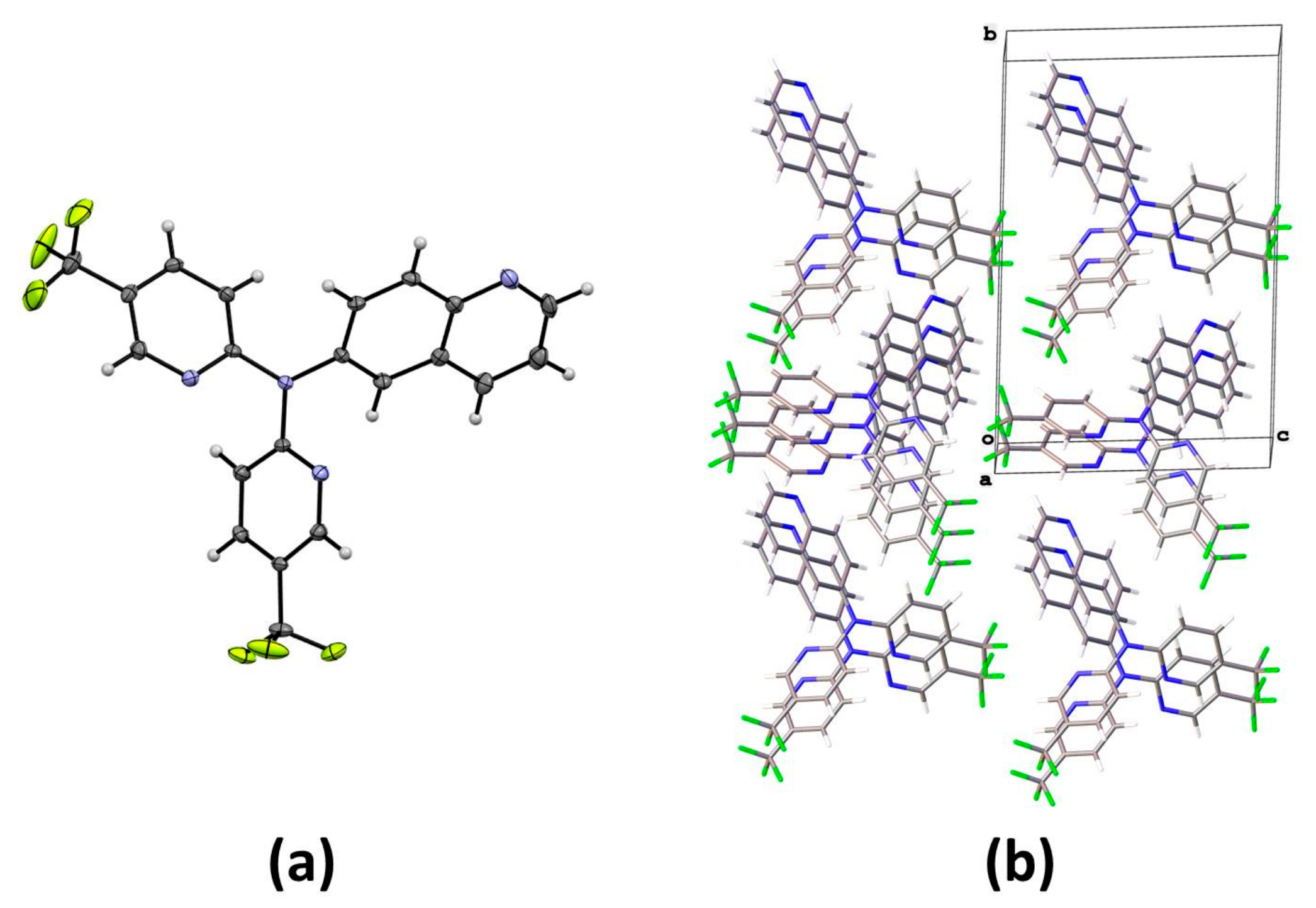Molbank 2024 m1831 g002