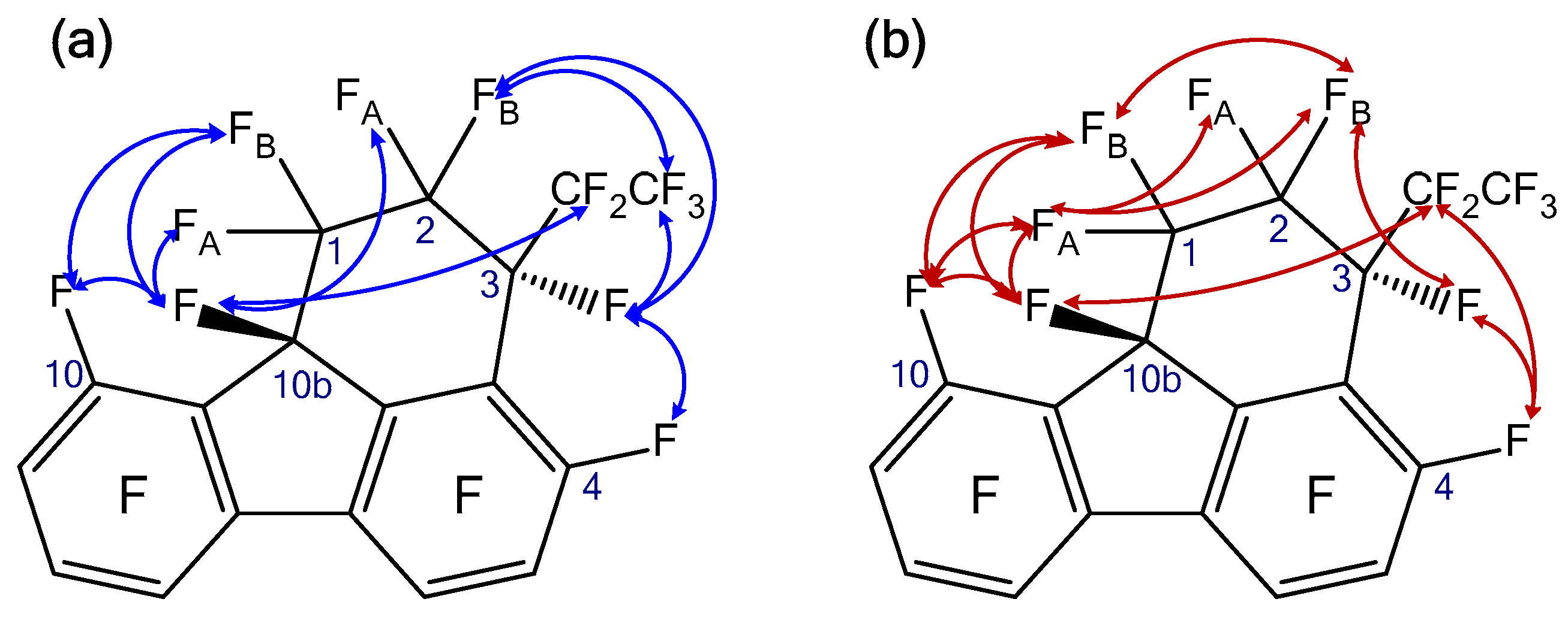 Molbank 2024 m1842 g001
