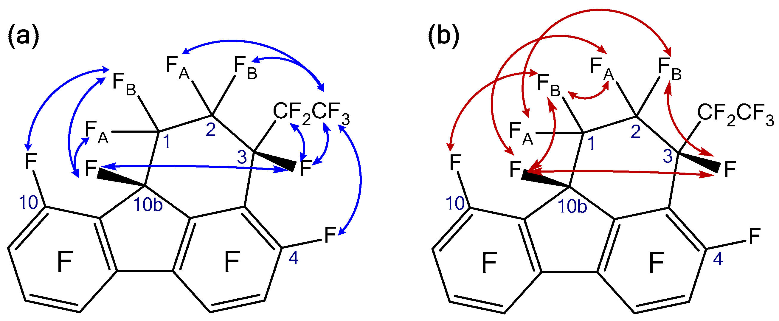Molbank 2024 m1842 g002