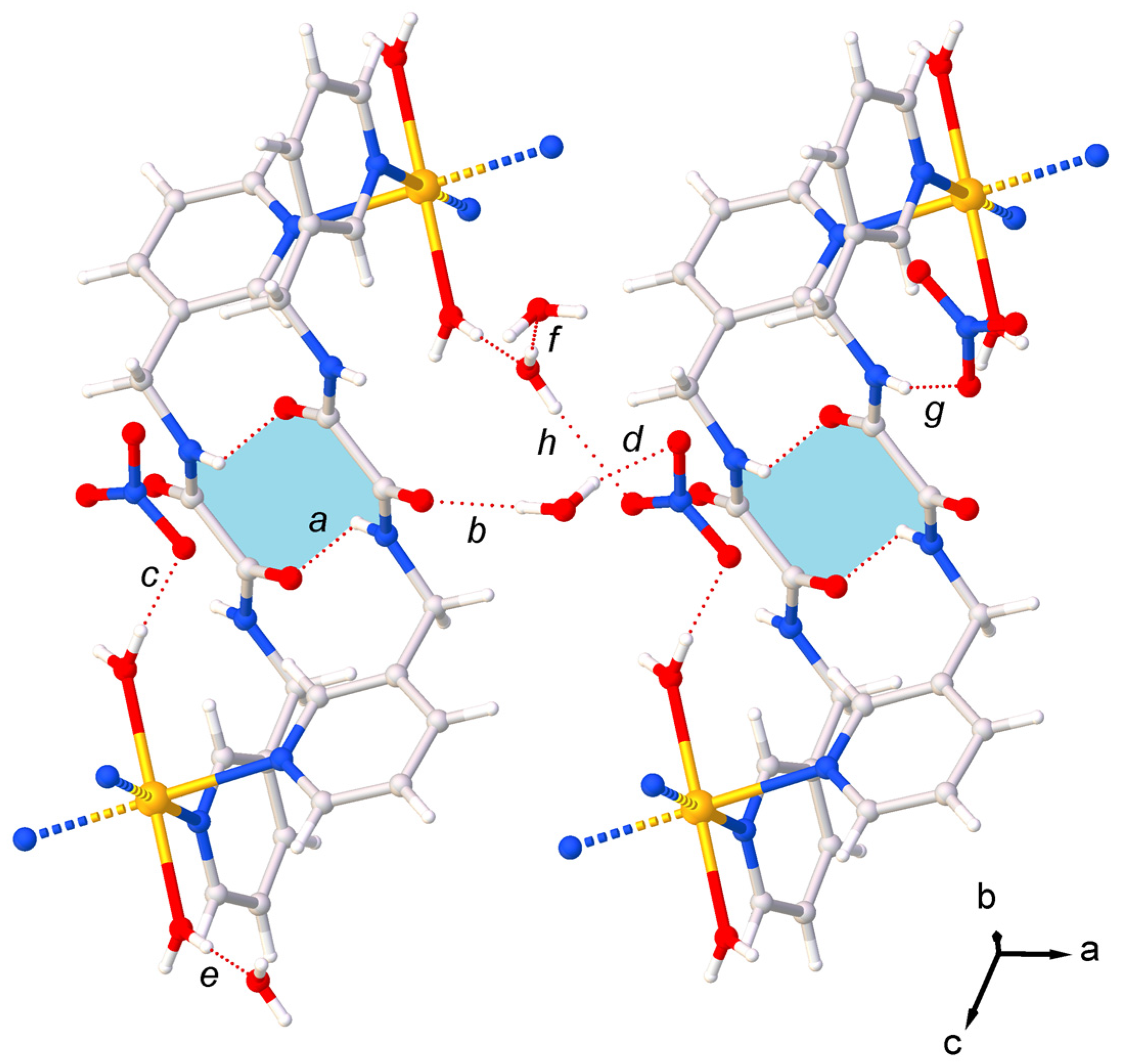 Molbank 2024 m1845 g003