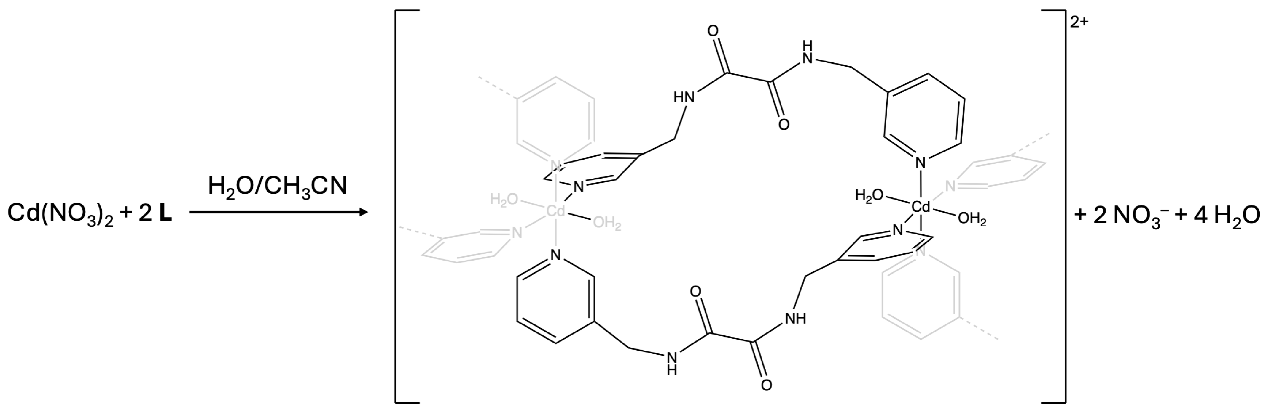 Molbank 2024 m1845 sch001