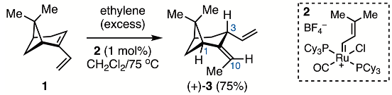 Molbank 2024 m1850 i001