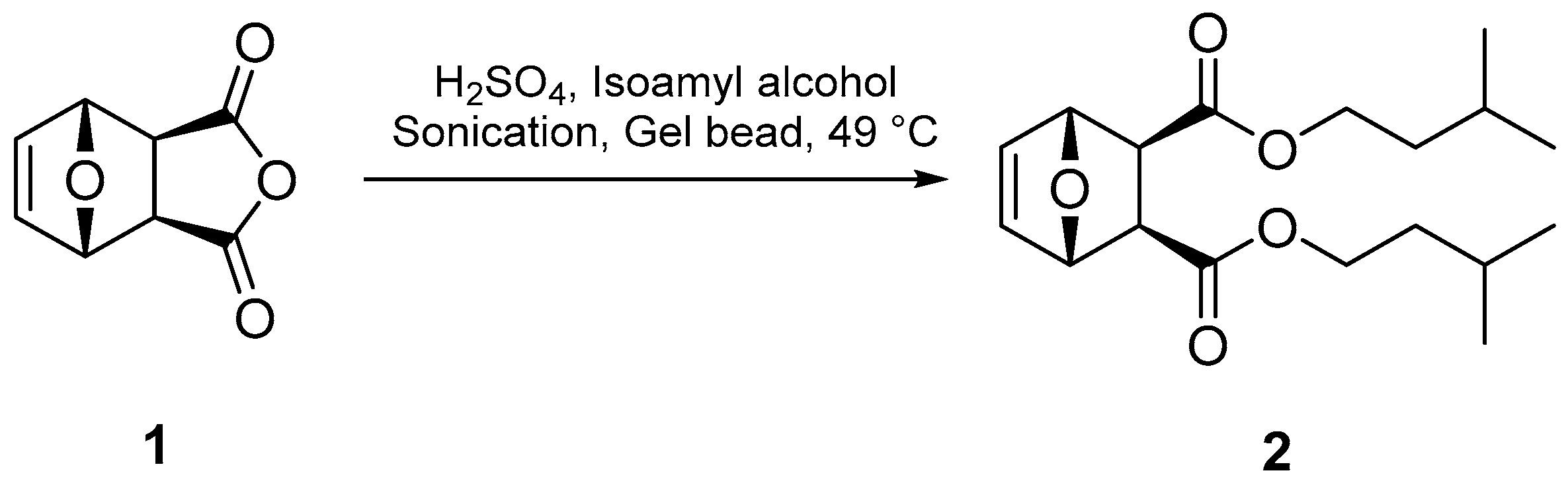 Molbank 2024 m1852 g002