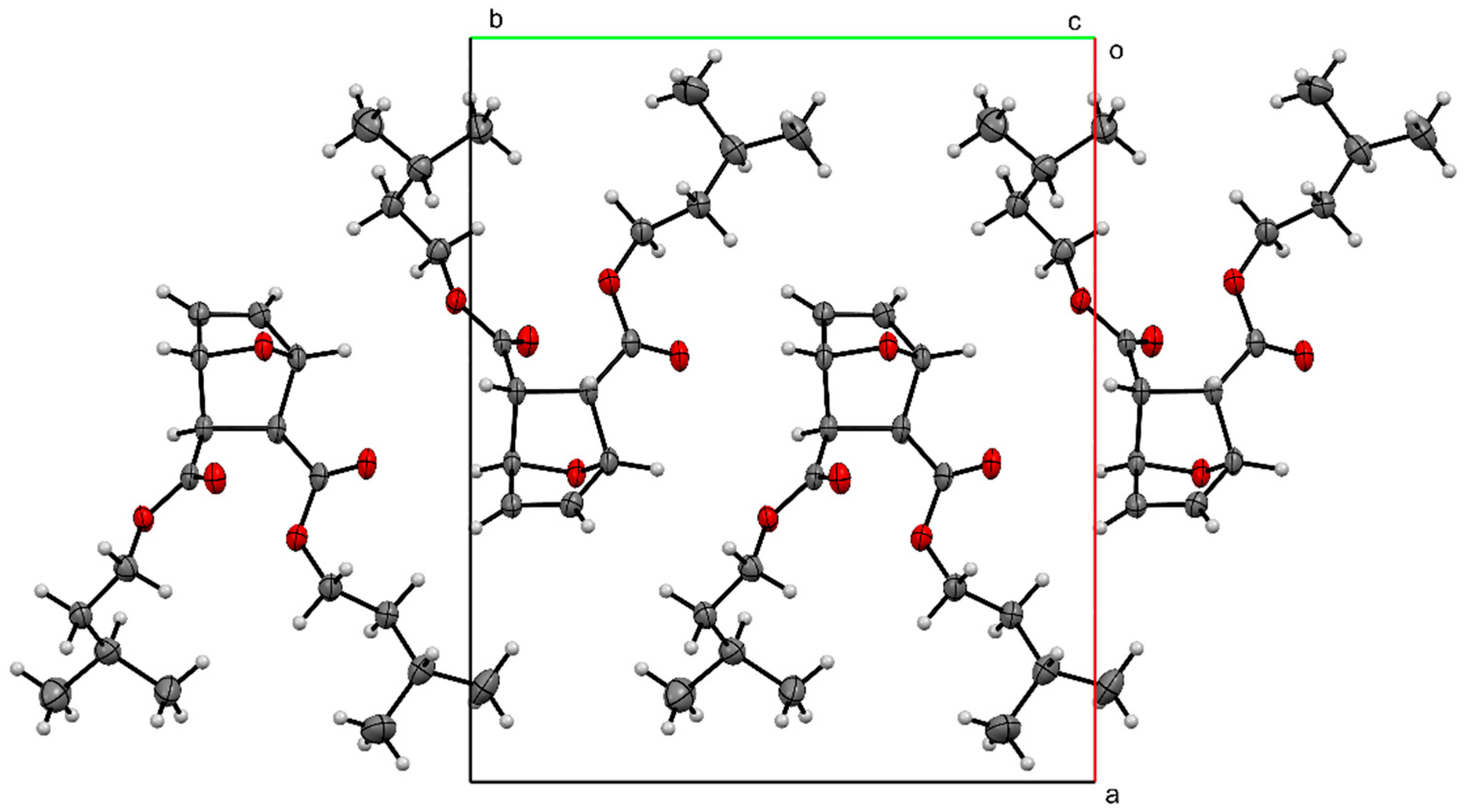 Molbank 2024 m1852 g004