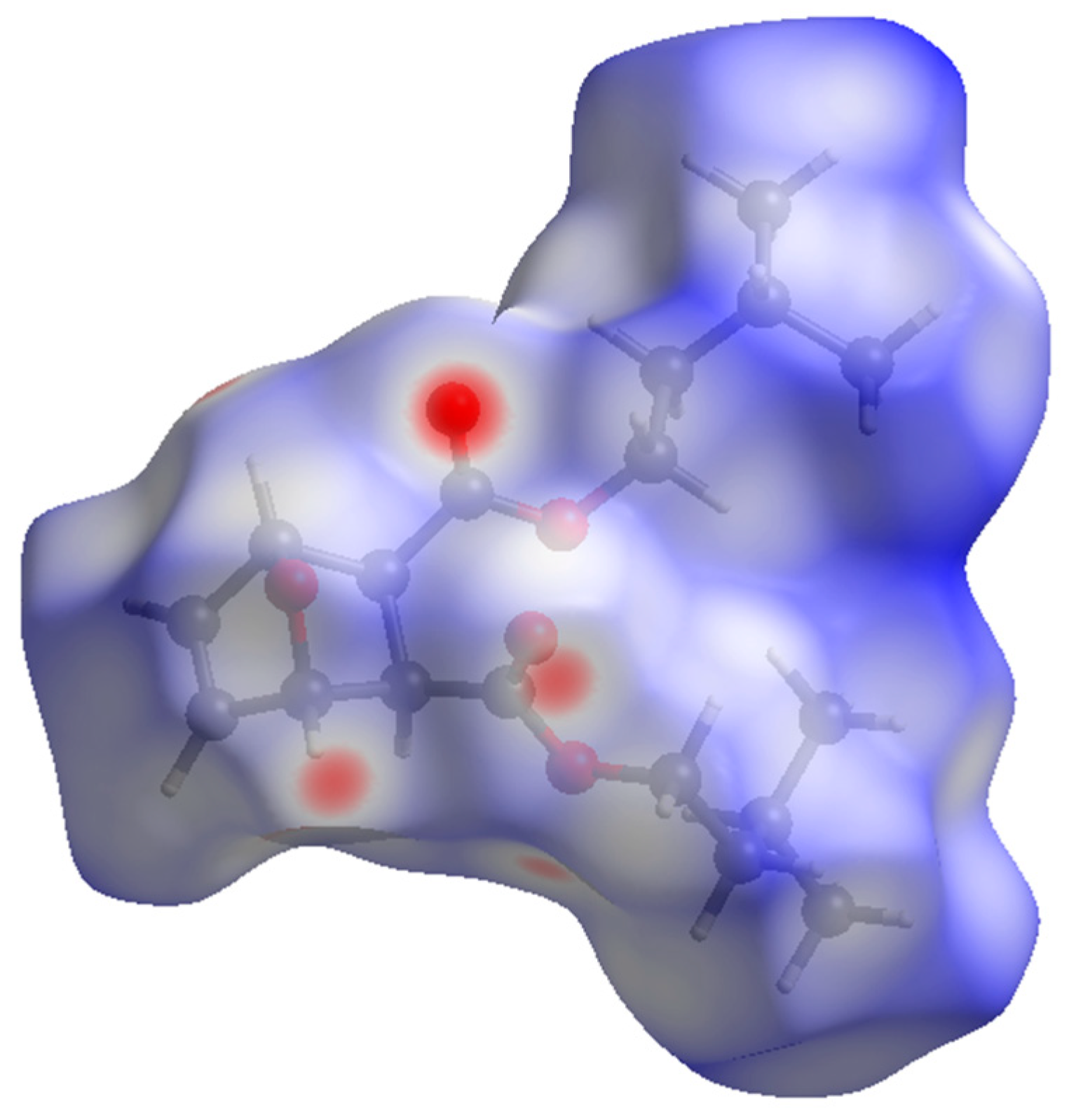 Molbank 2024 m1852 g005