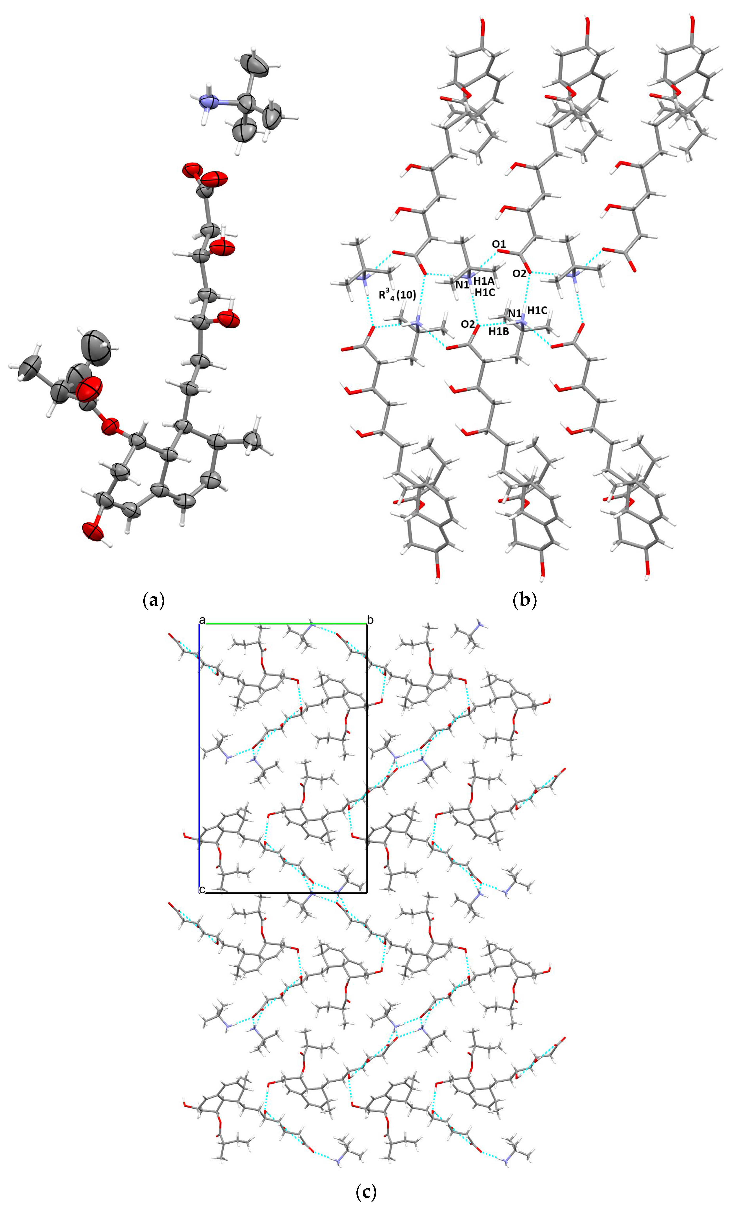 Molbank 2024 m1885 g002