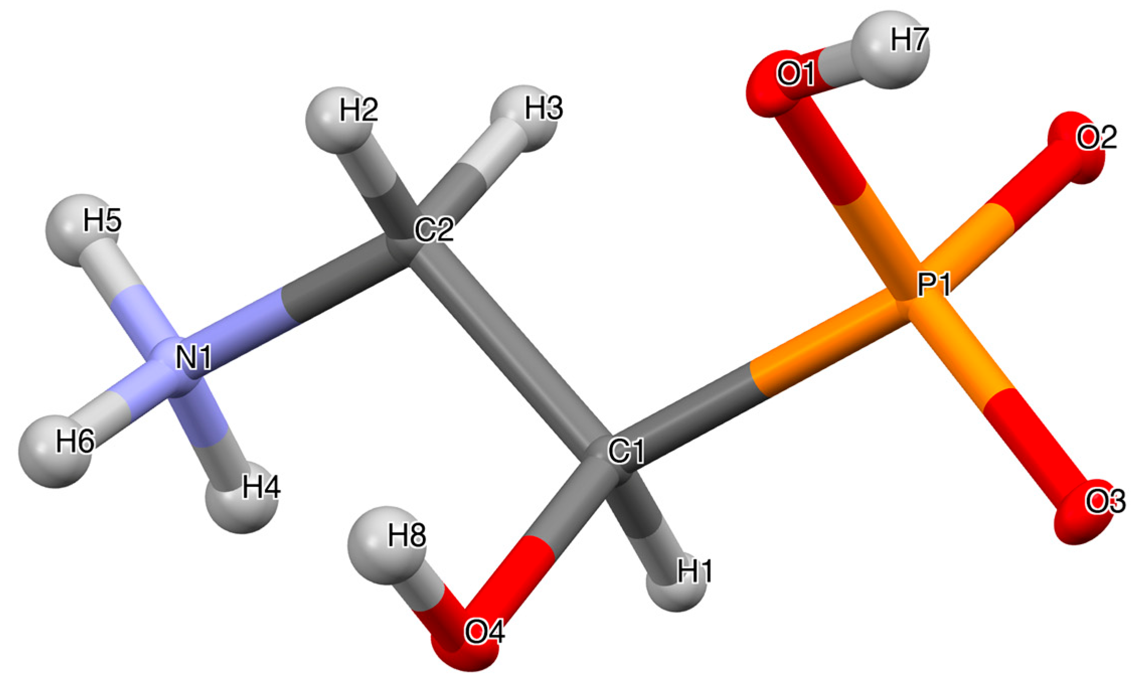 Molbank 2024 m1888 g002