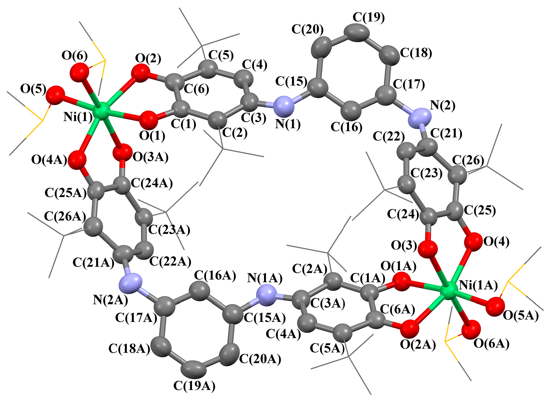 Molbank 2024 m1890 g001