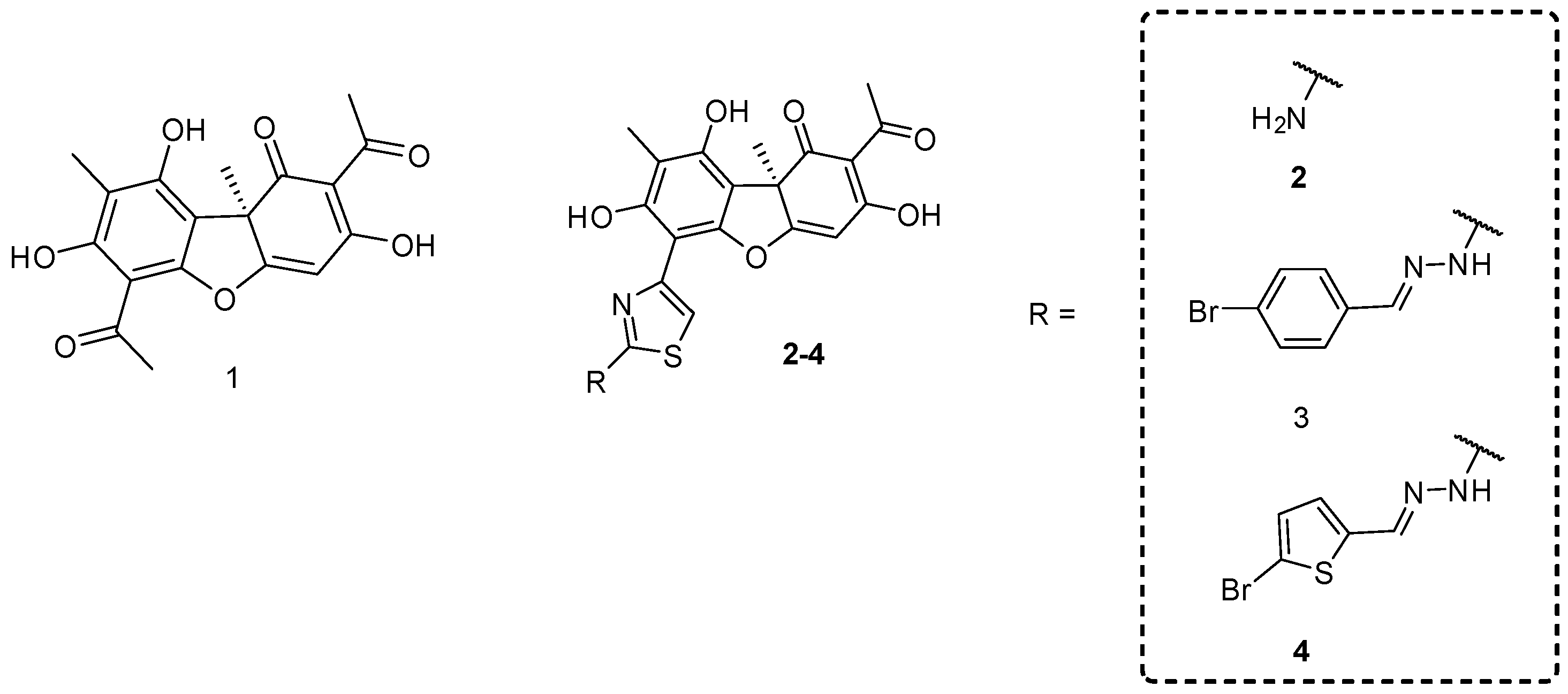 Molbank 2024 m1894 g001