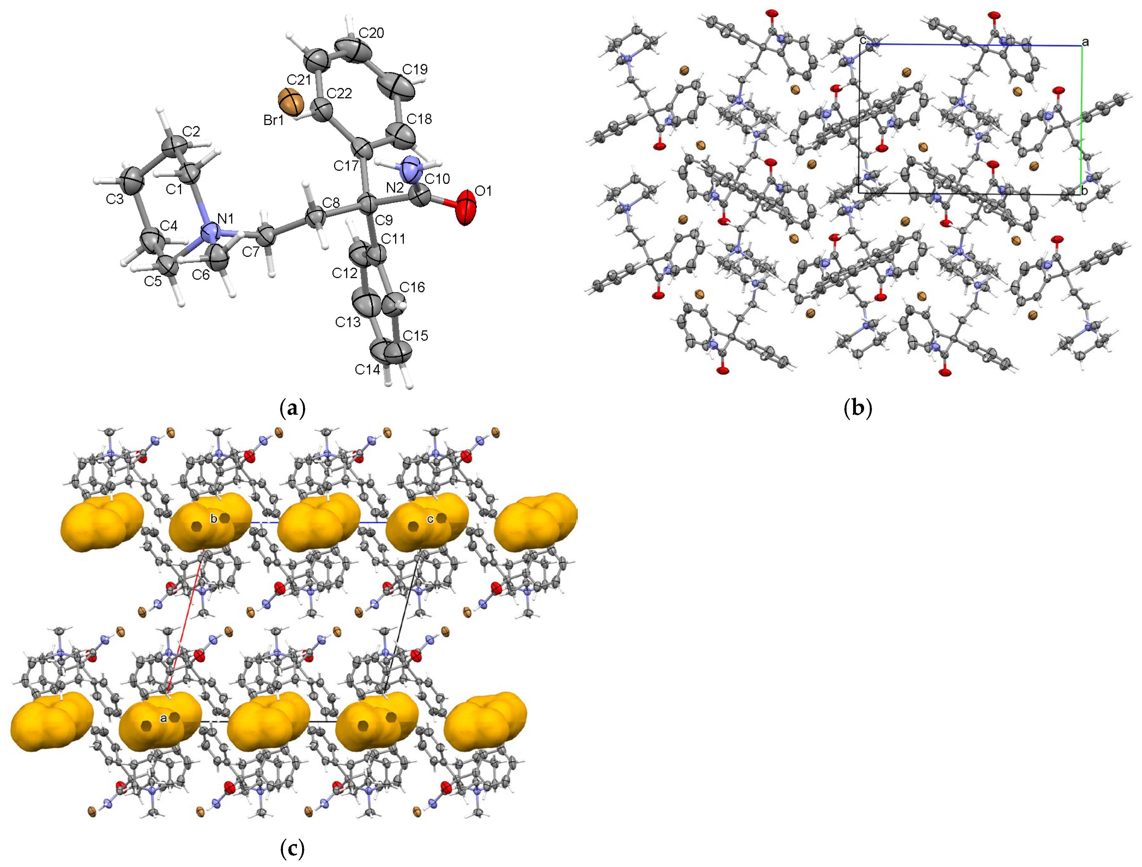 Molbank 2024 m1904 g002