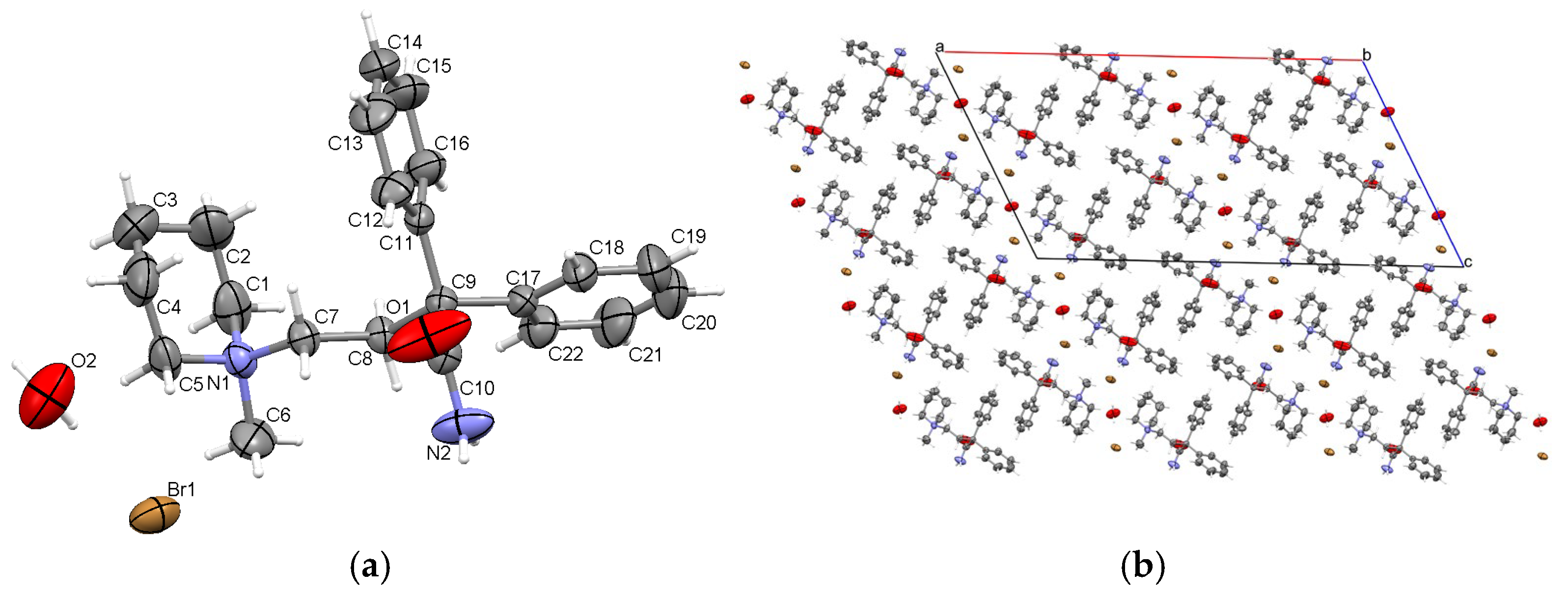 Molbank 2024 m1904 g003