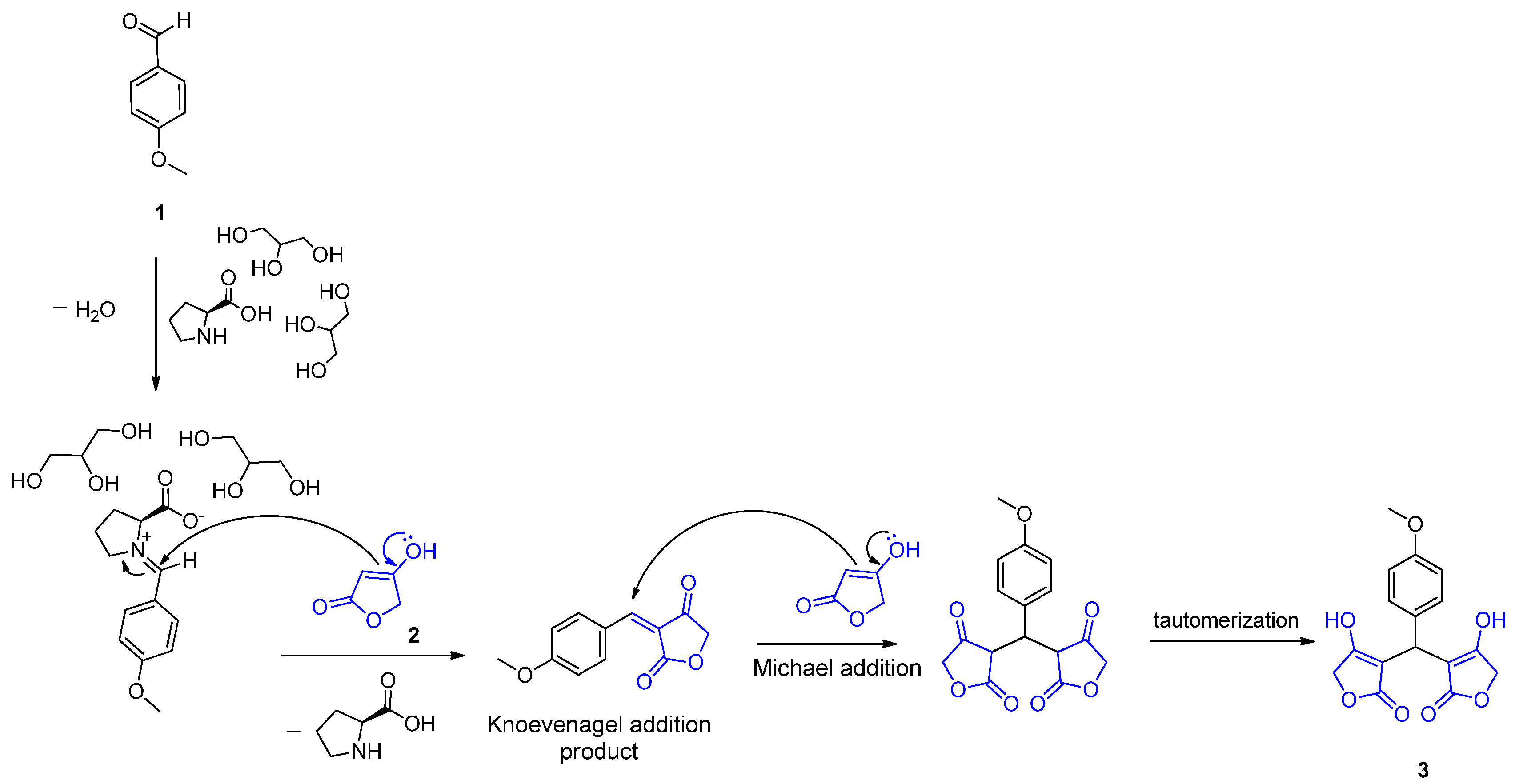 Molbank 2024 m1910 sch002