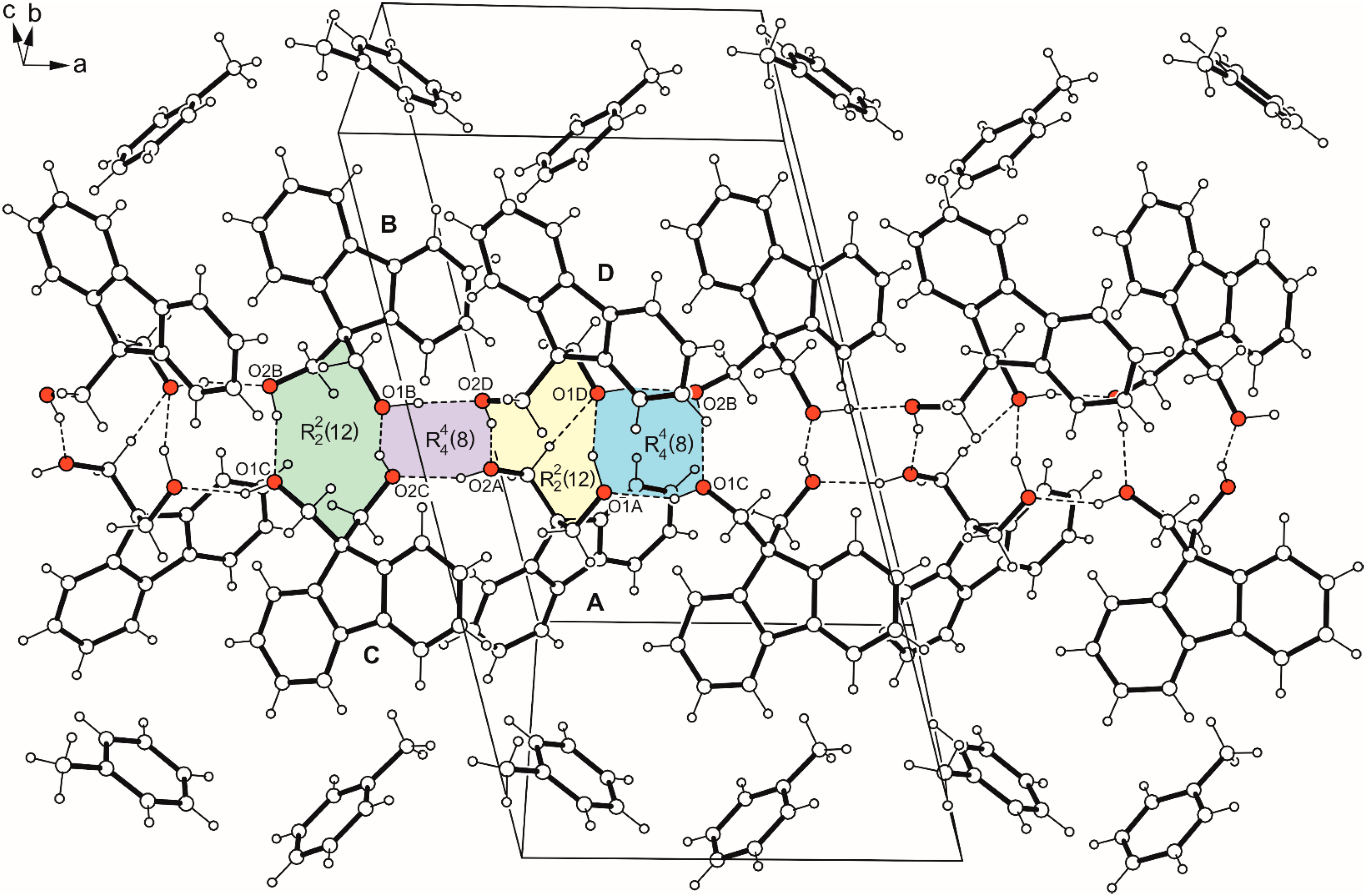 Molbank 2024 m1928 g007