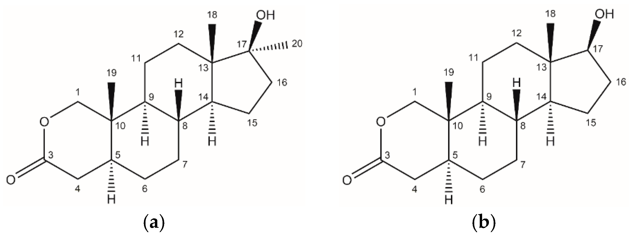 Molbank 2024 m1935 g001