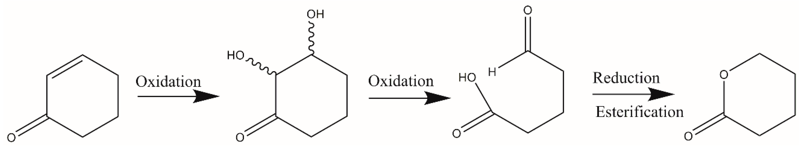 Molbank 2024 m1935 sch001