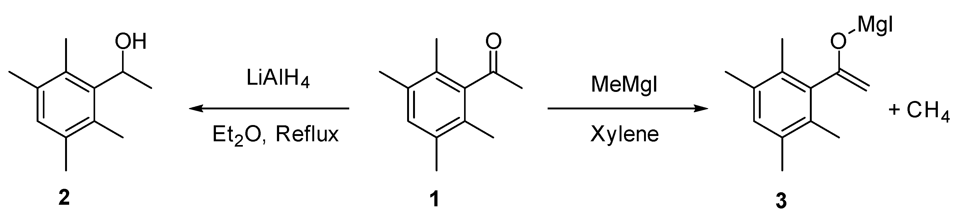 Molbank 2025 m1961 sch001