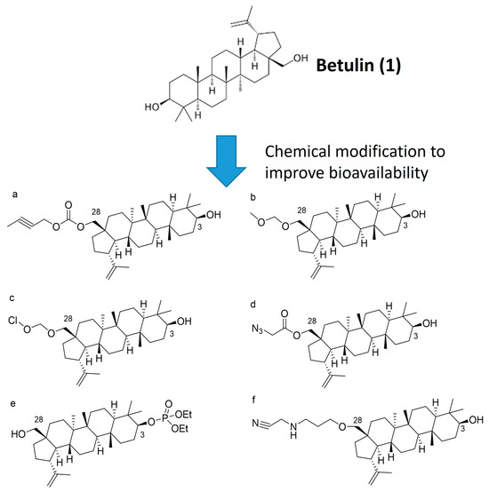 Molbank 2025 m1971 g001