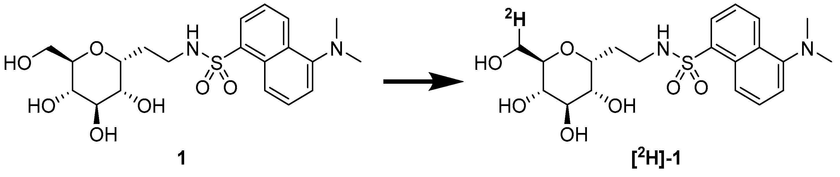 Molbank 2025 m1982 g001