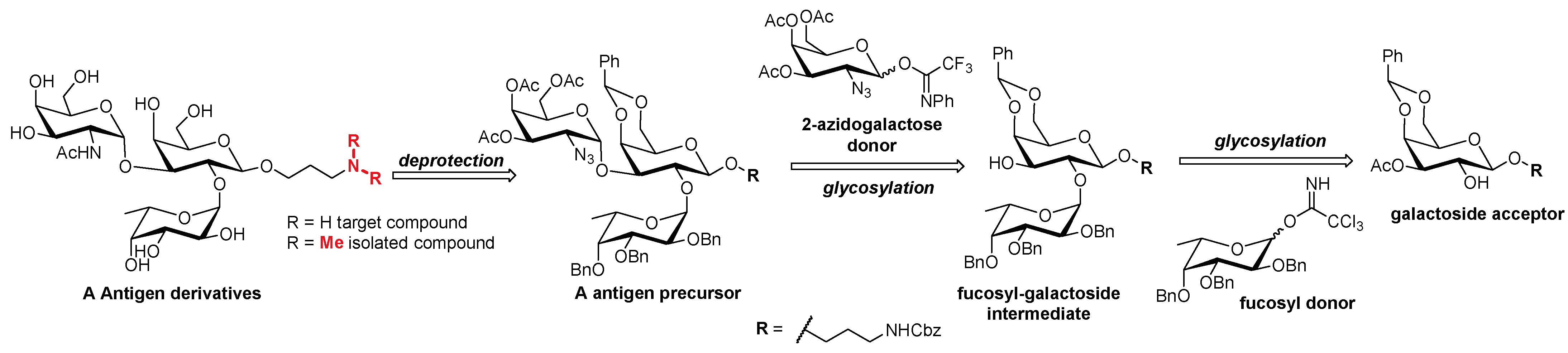 Molbank 2025 m1985 sch002