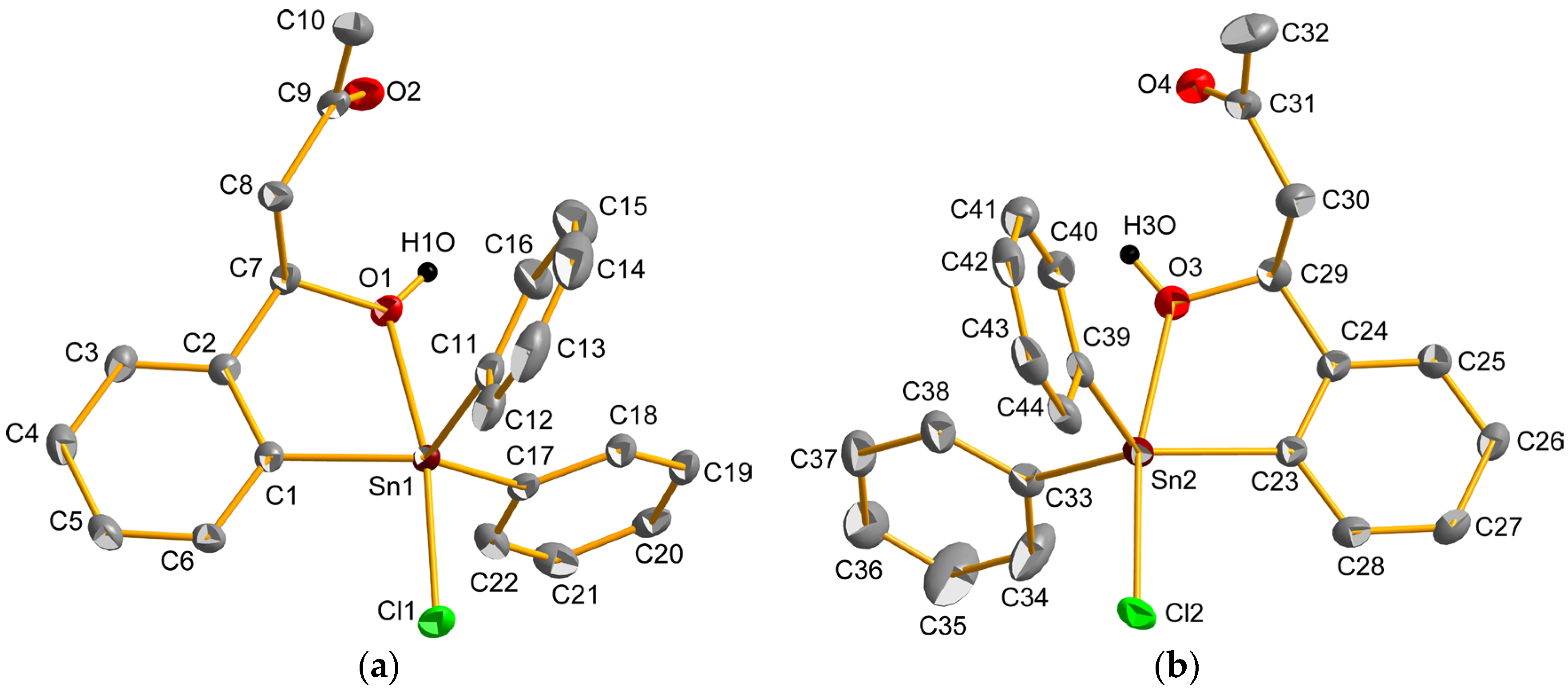 Molbank 2025 m1991 g001