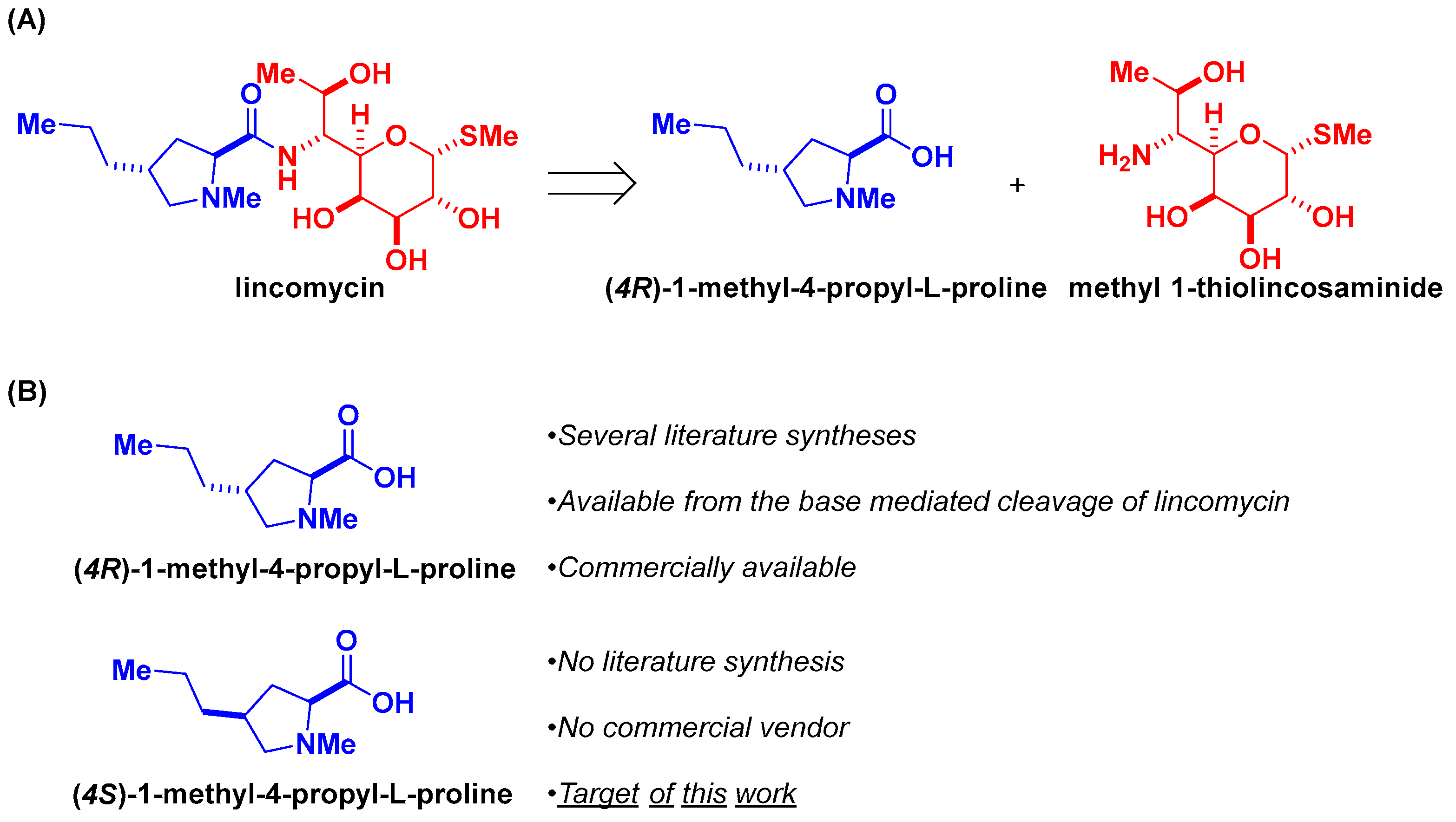 Molbank 2025 m2003 g001