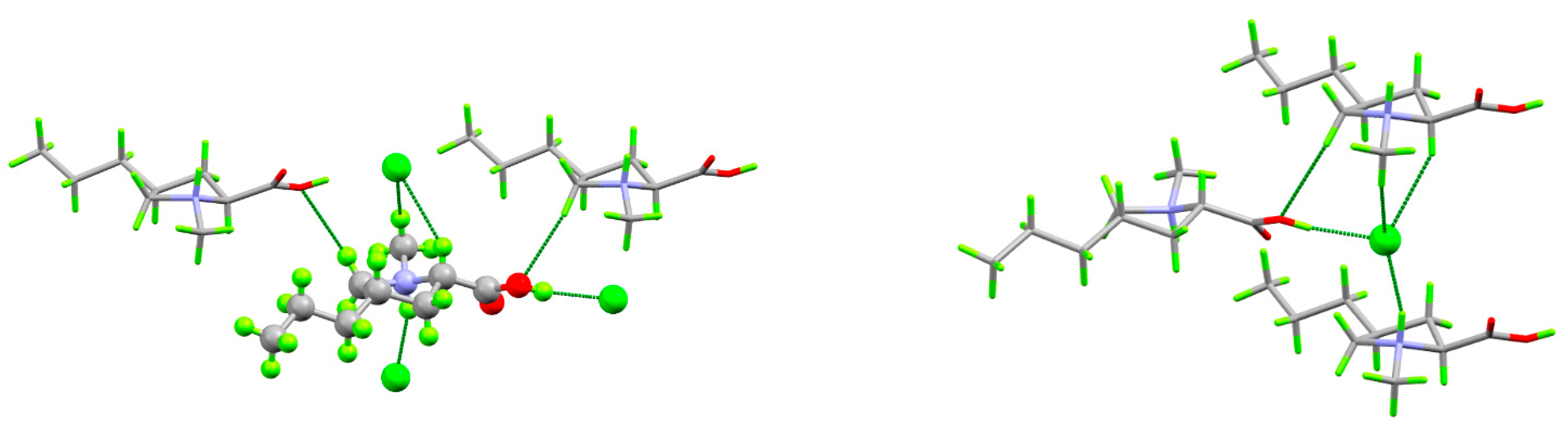 Molbank 2025 m2003 g003