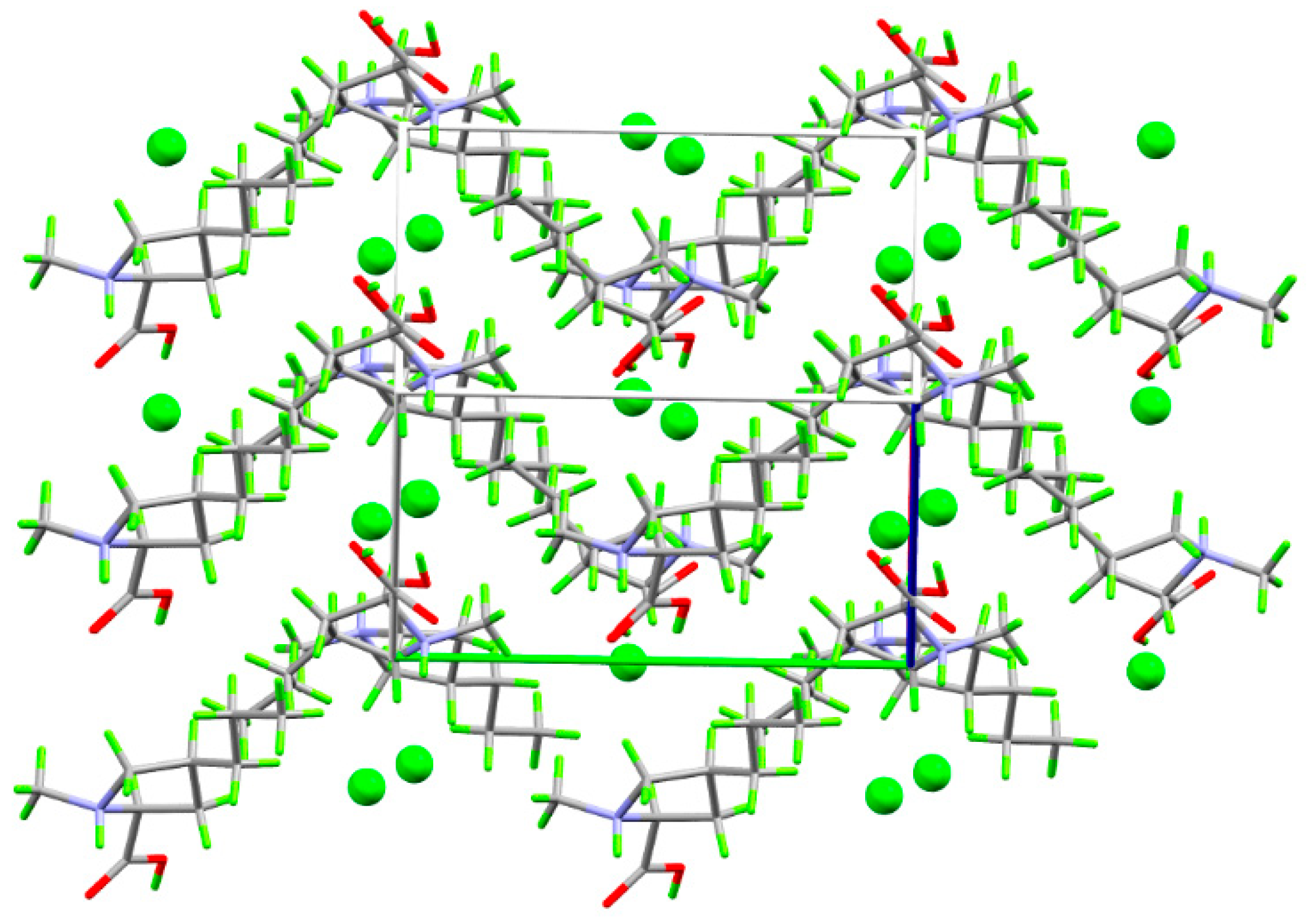 Molbank 2025 m2003 g004