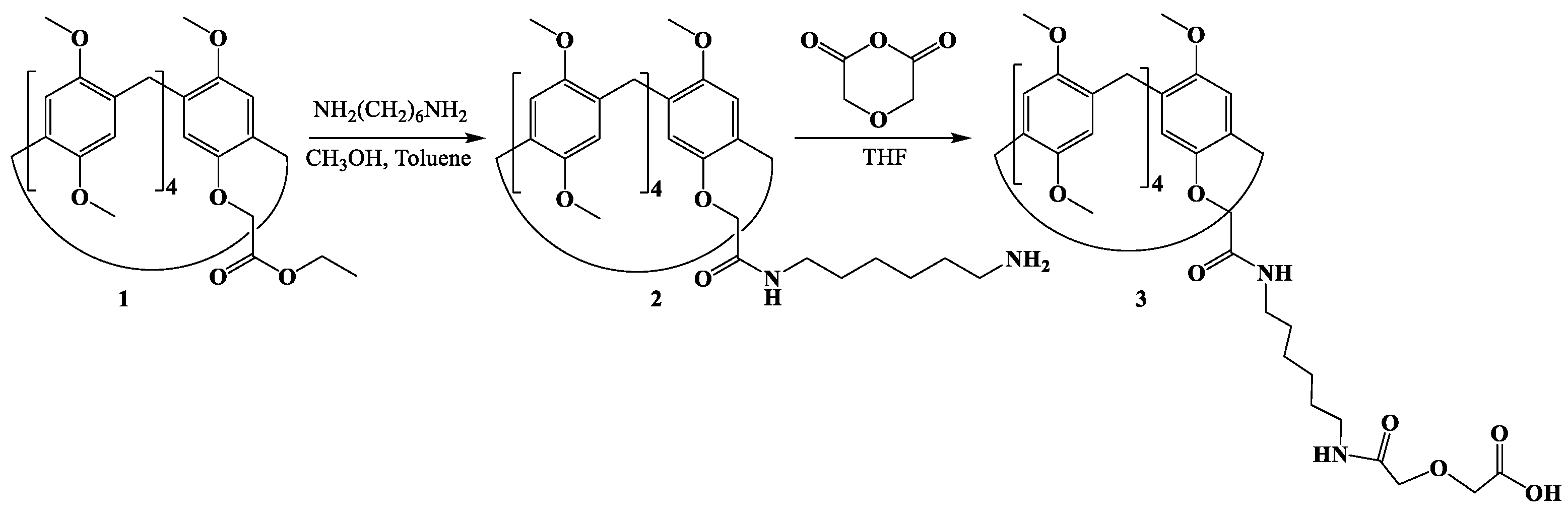 Molbank 2025 m2004 sch001