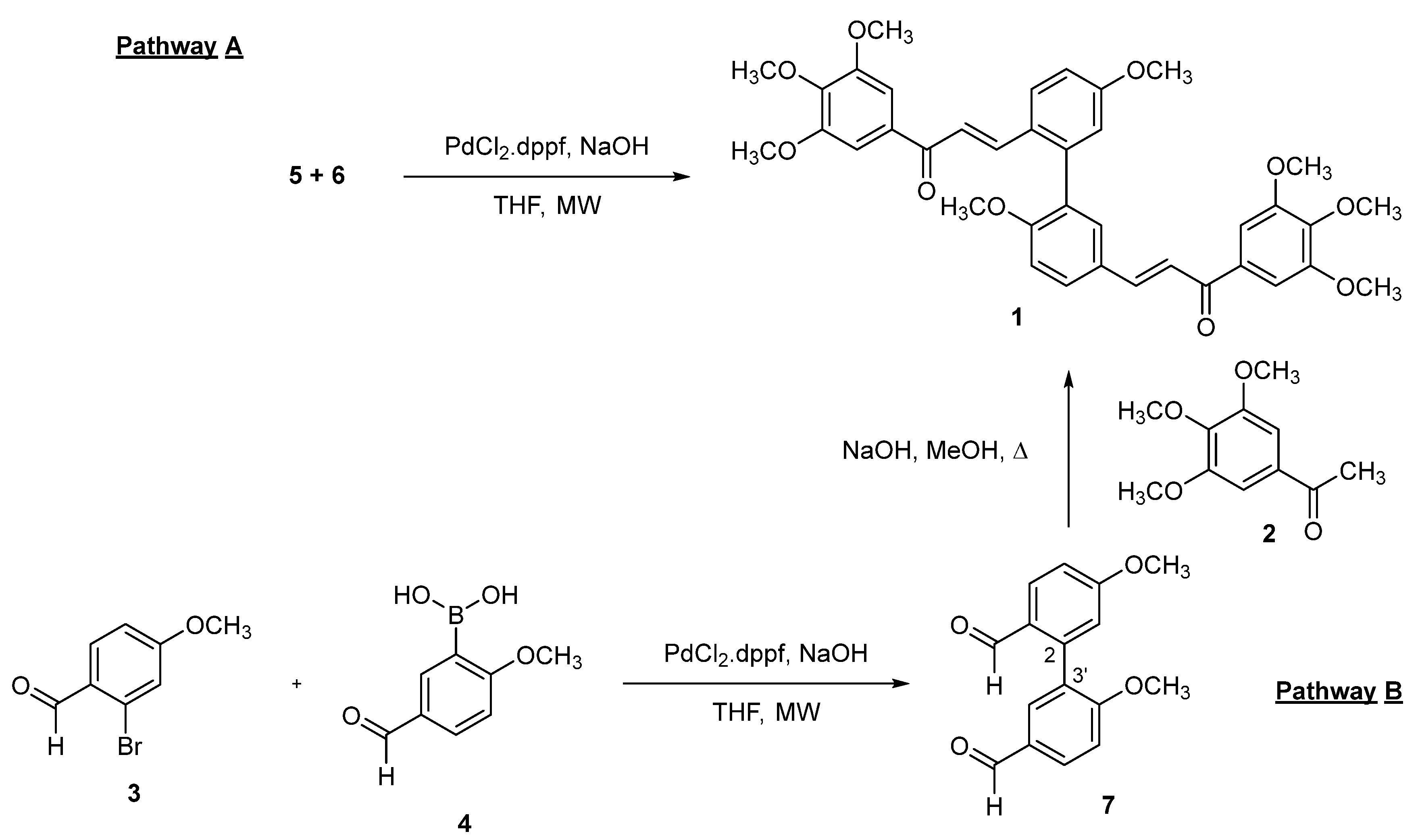 Molbank 2025 m2012 sch002