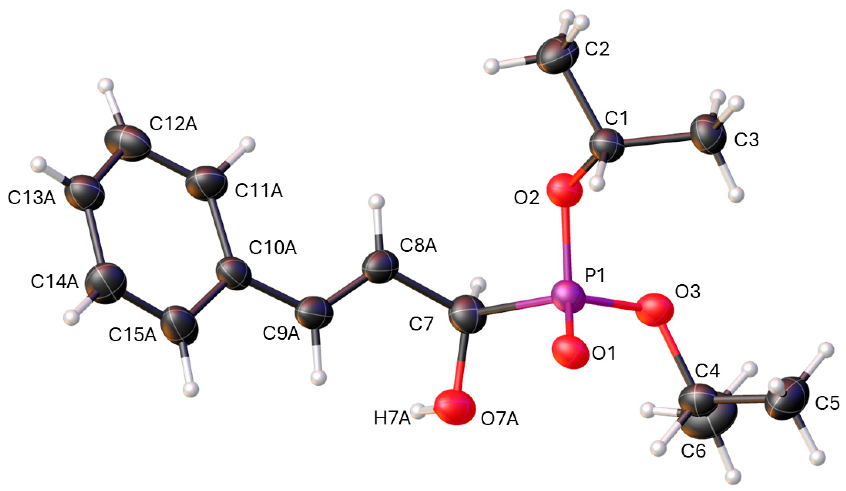 Molbank 2025 m2013 g002