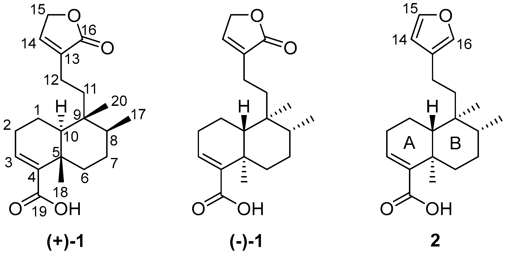 Molbank 2025 m2027 g001 Molbank 2025 m2027 g001