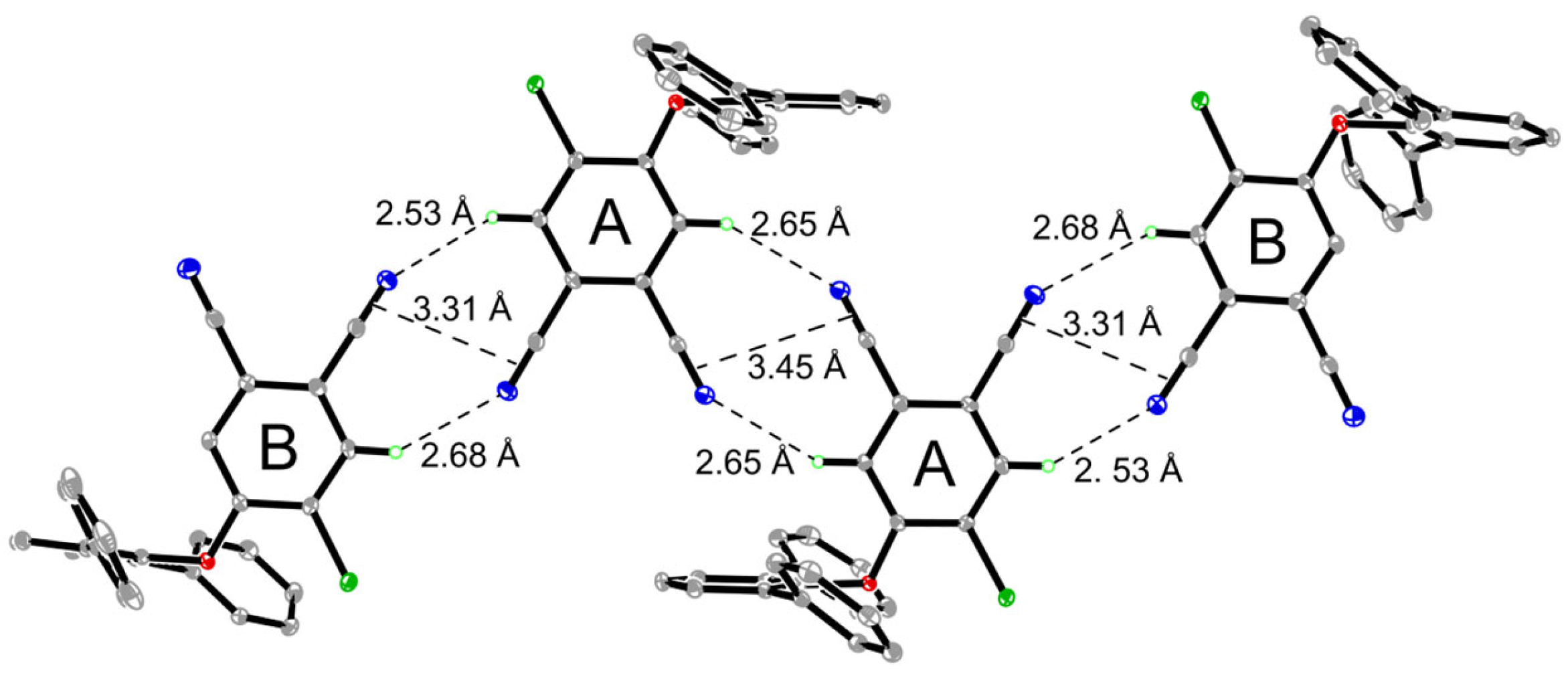 Molbank 2025 m2028 g002
