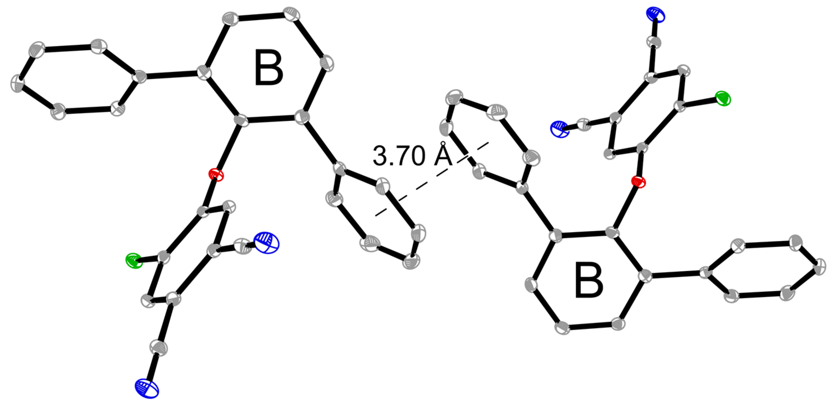 Molbank 2025 m2028 g003