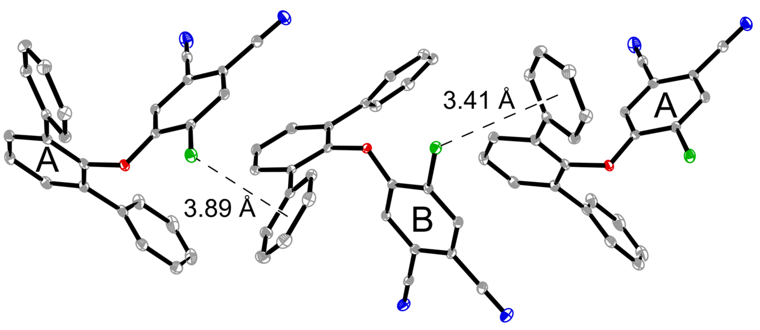Molbank 2025 m2028 g004b