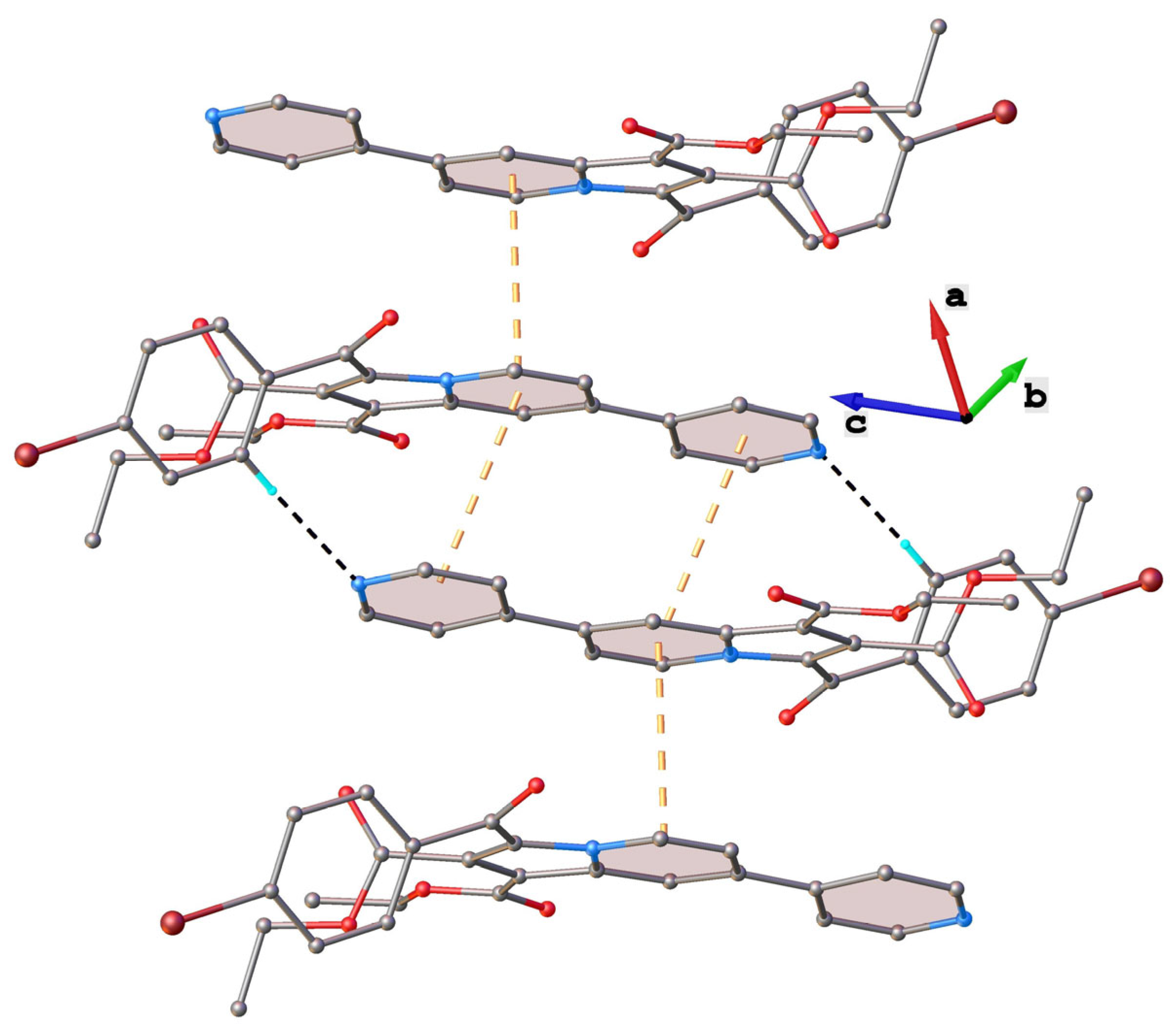 Molbank 2025 m2032 g003