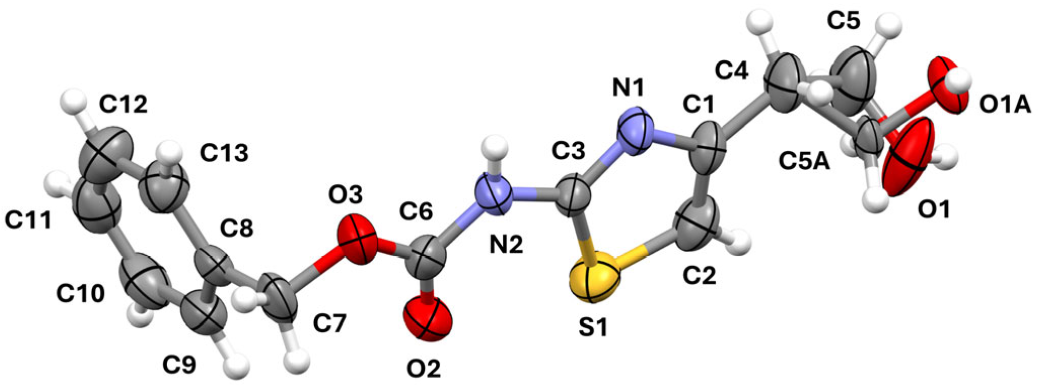 Molbank 2025 m2040 g003