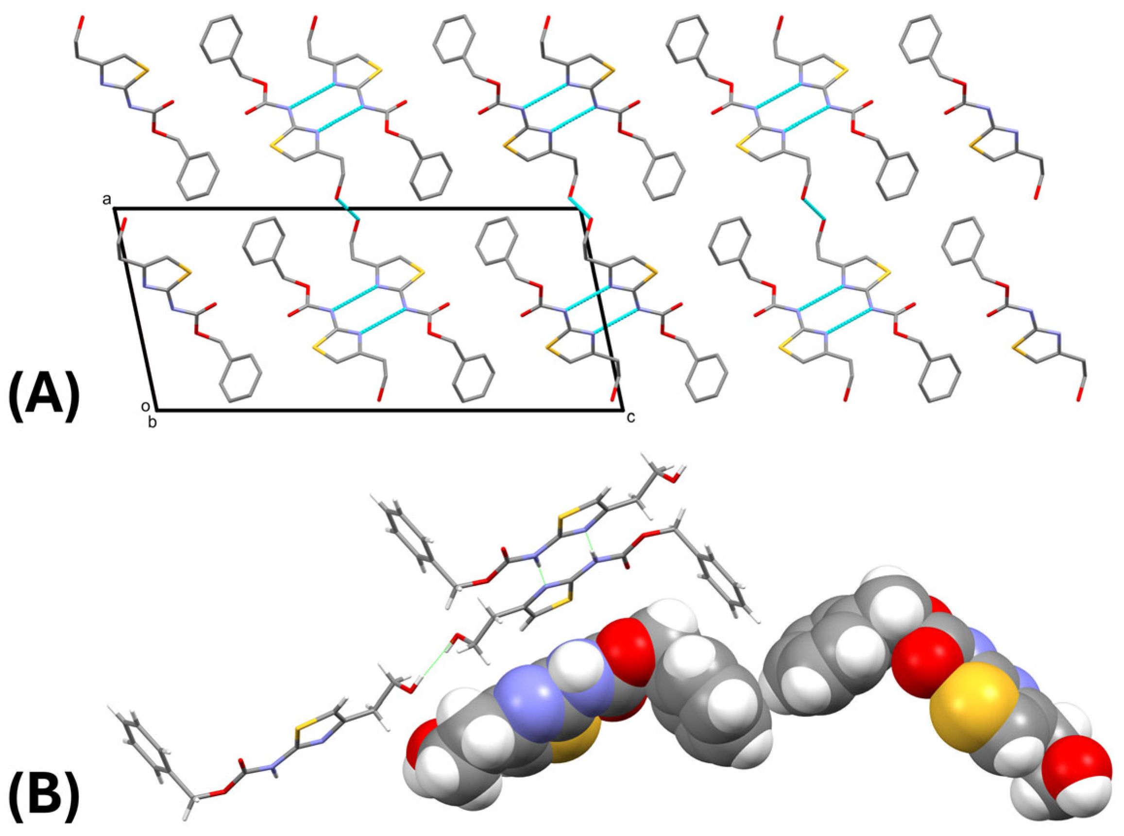 Molbank 2025 m2040 g004