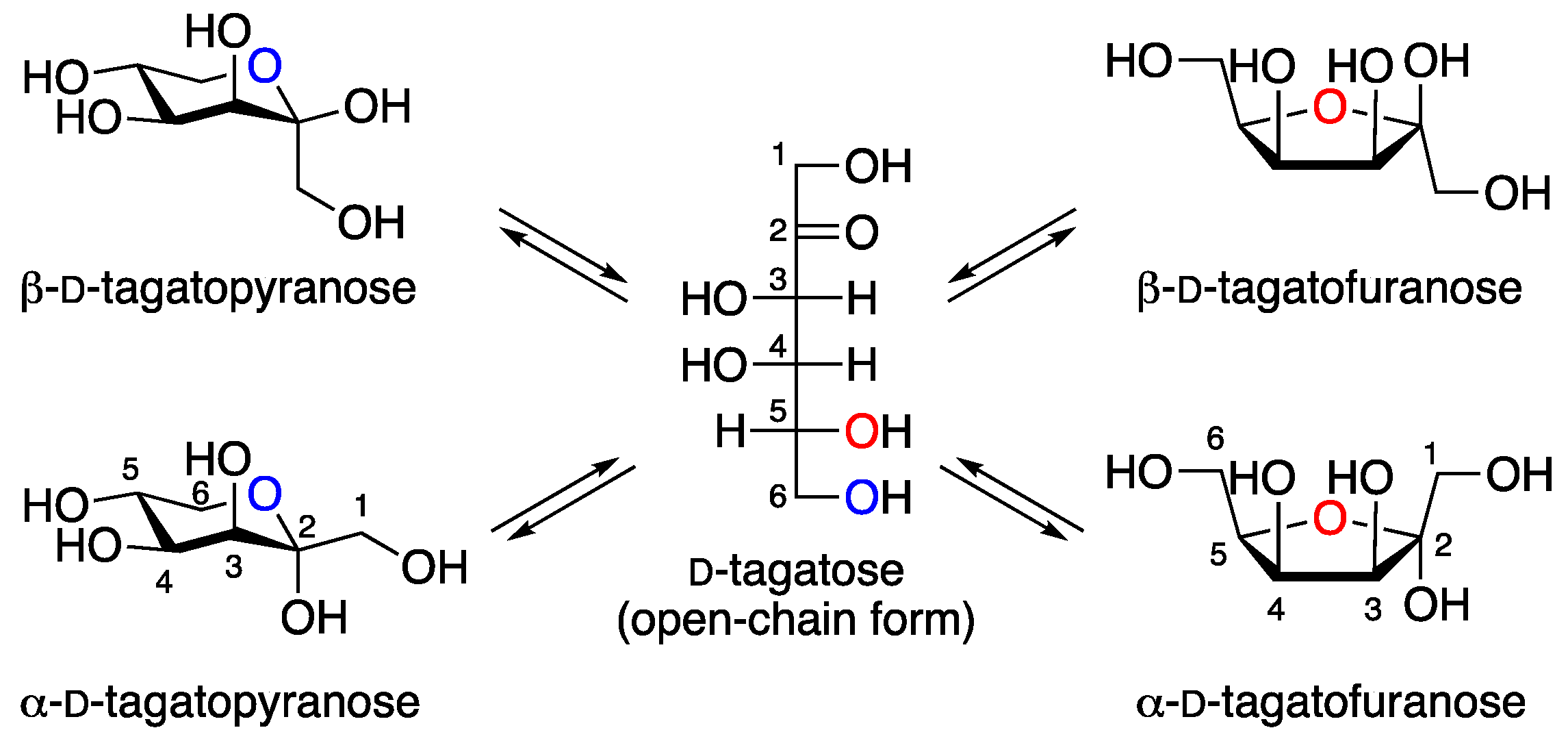 Molbank 2025 m2046 g001