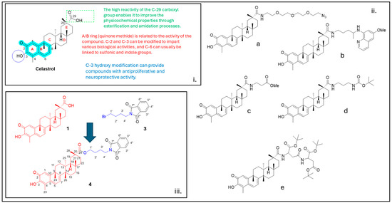 Molbank 2025 m2048 g001