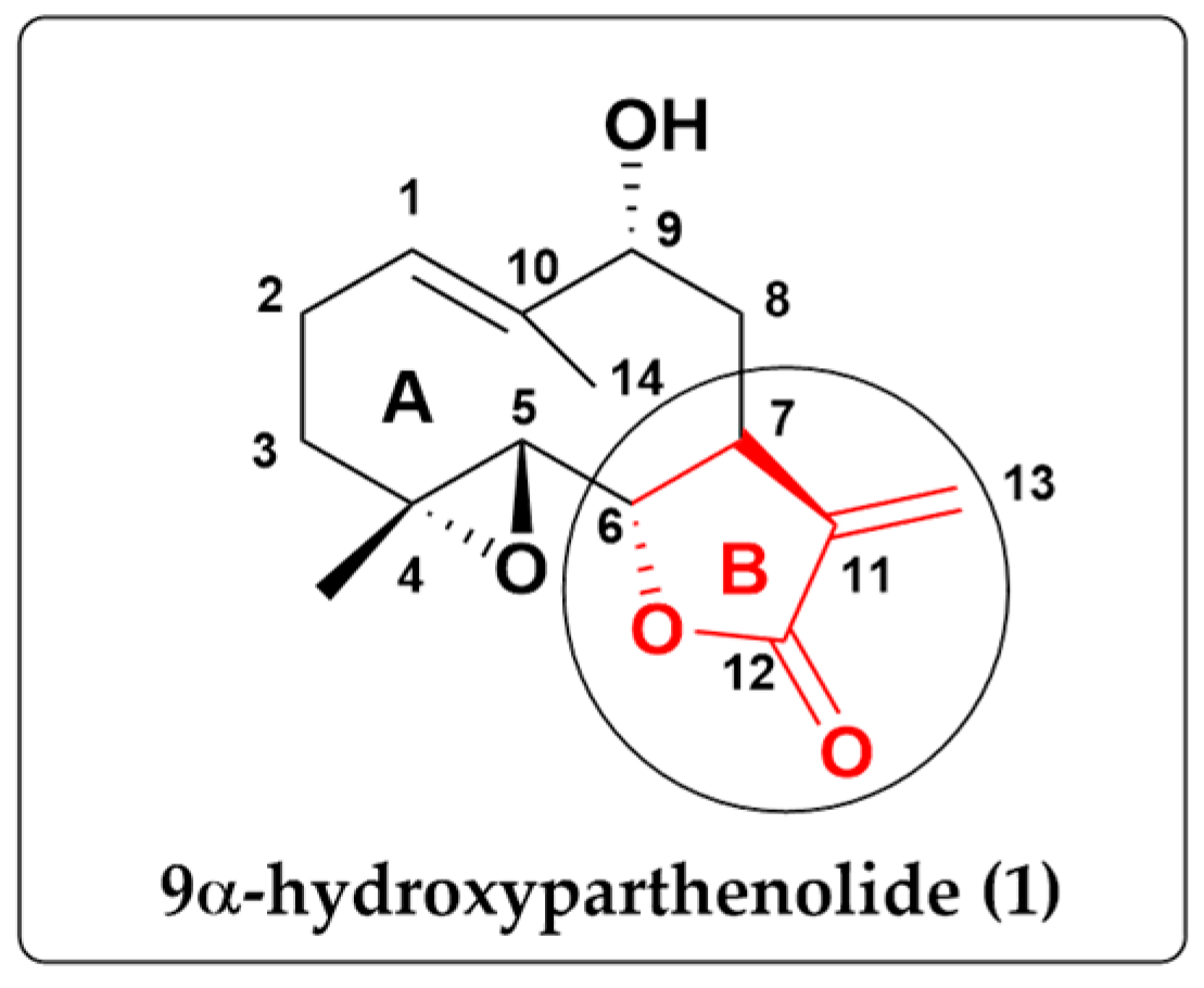 Molbank 2025 m2054 g003