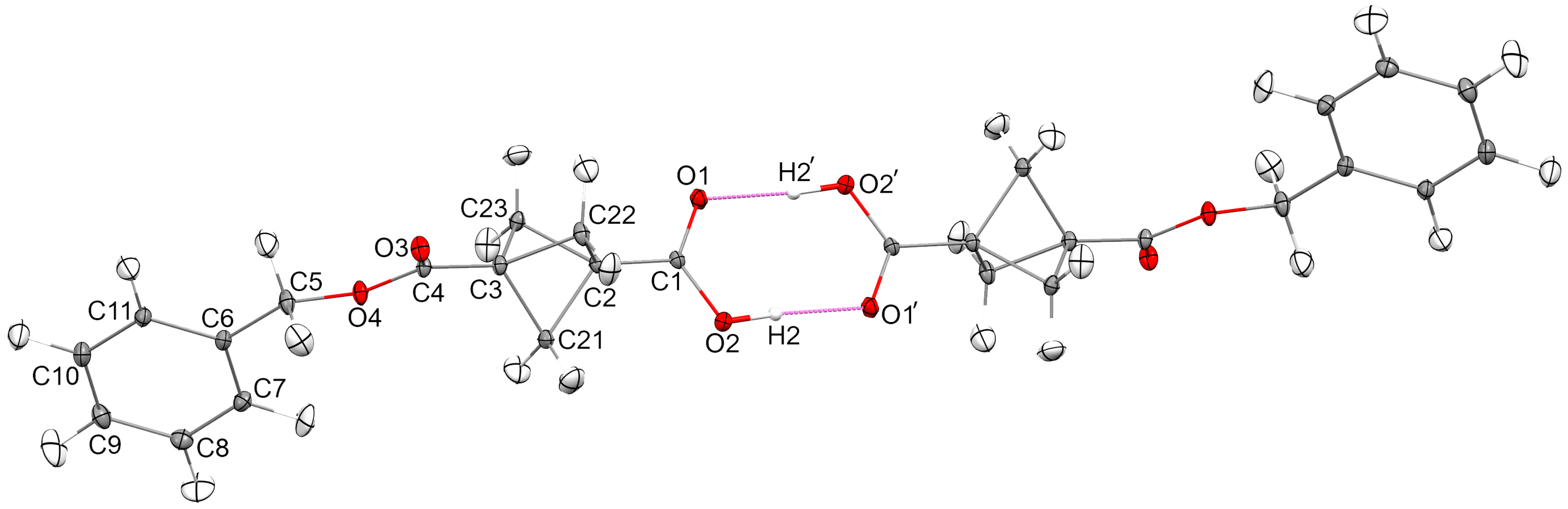 Molbank 2025 m2075 g001
